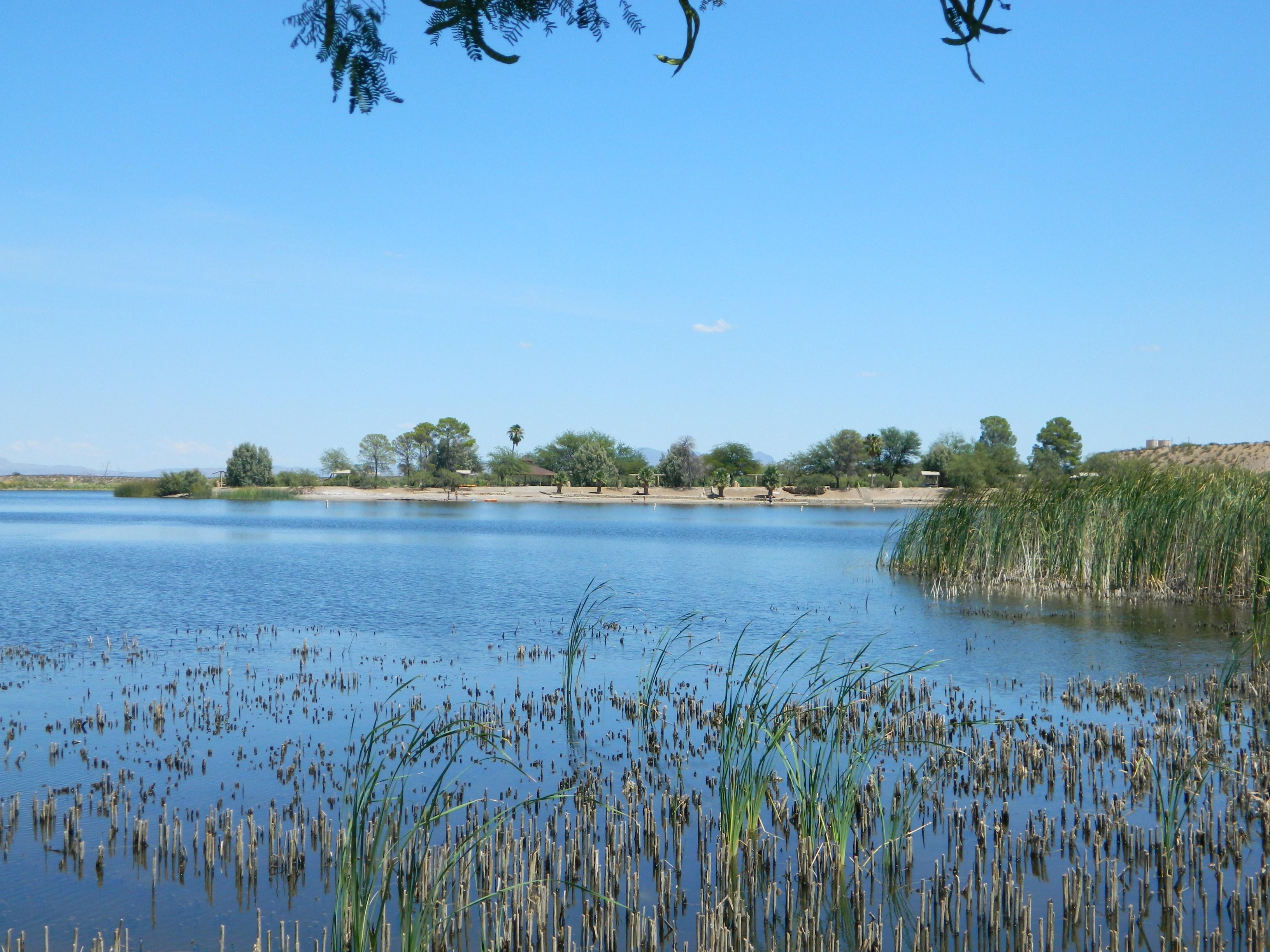 Roper Lake State Park