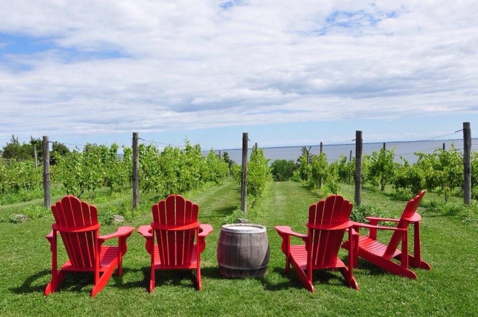 County Cider Company & Estate Winery Patio