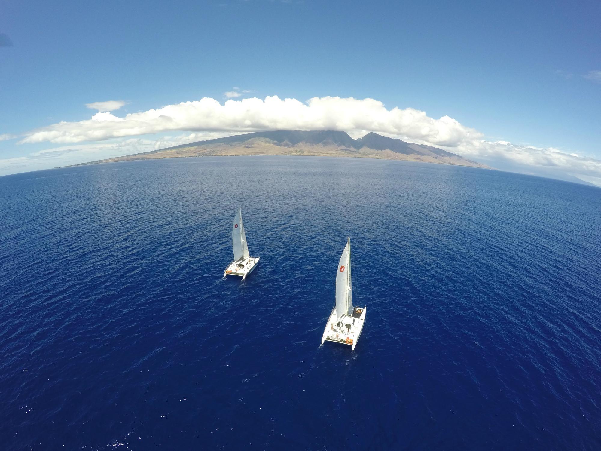 Sail Maui