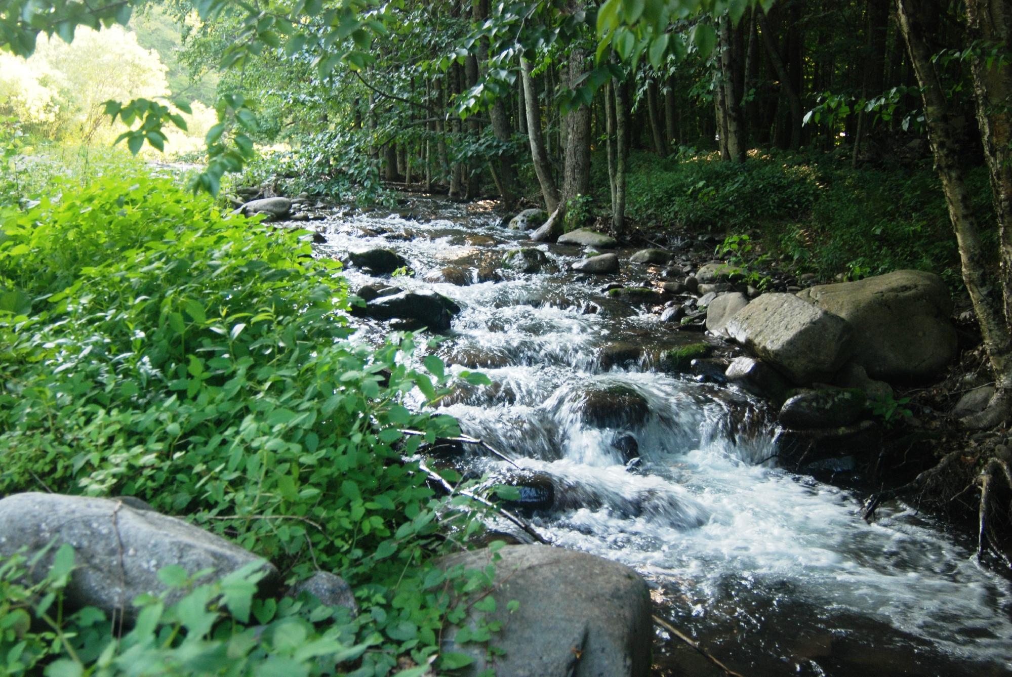 Woodland Valley State Park