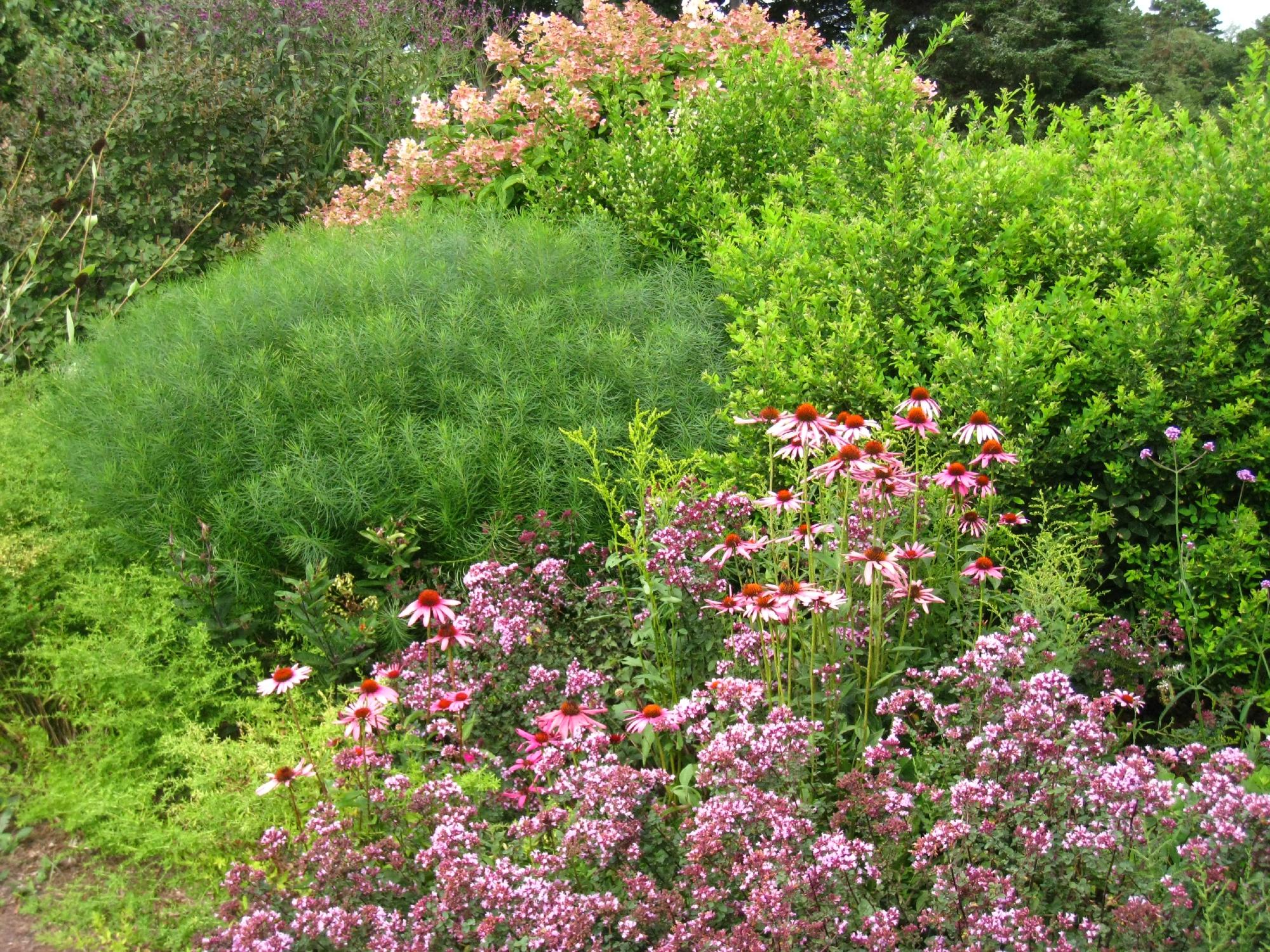 Polly Hill Arboretum