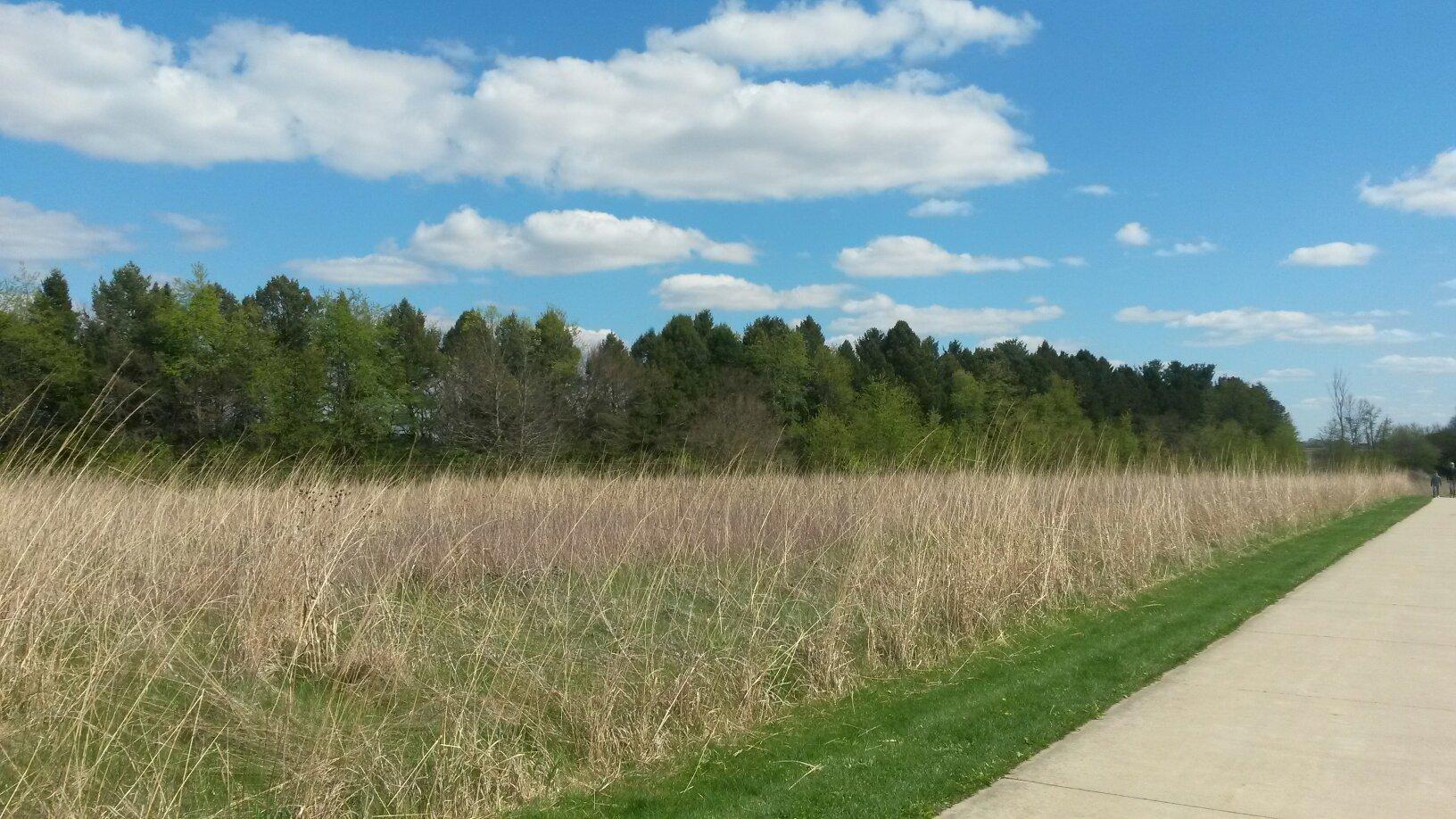 Meadowbrook Park