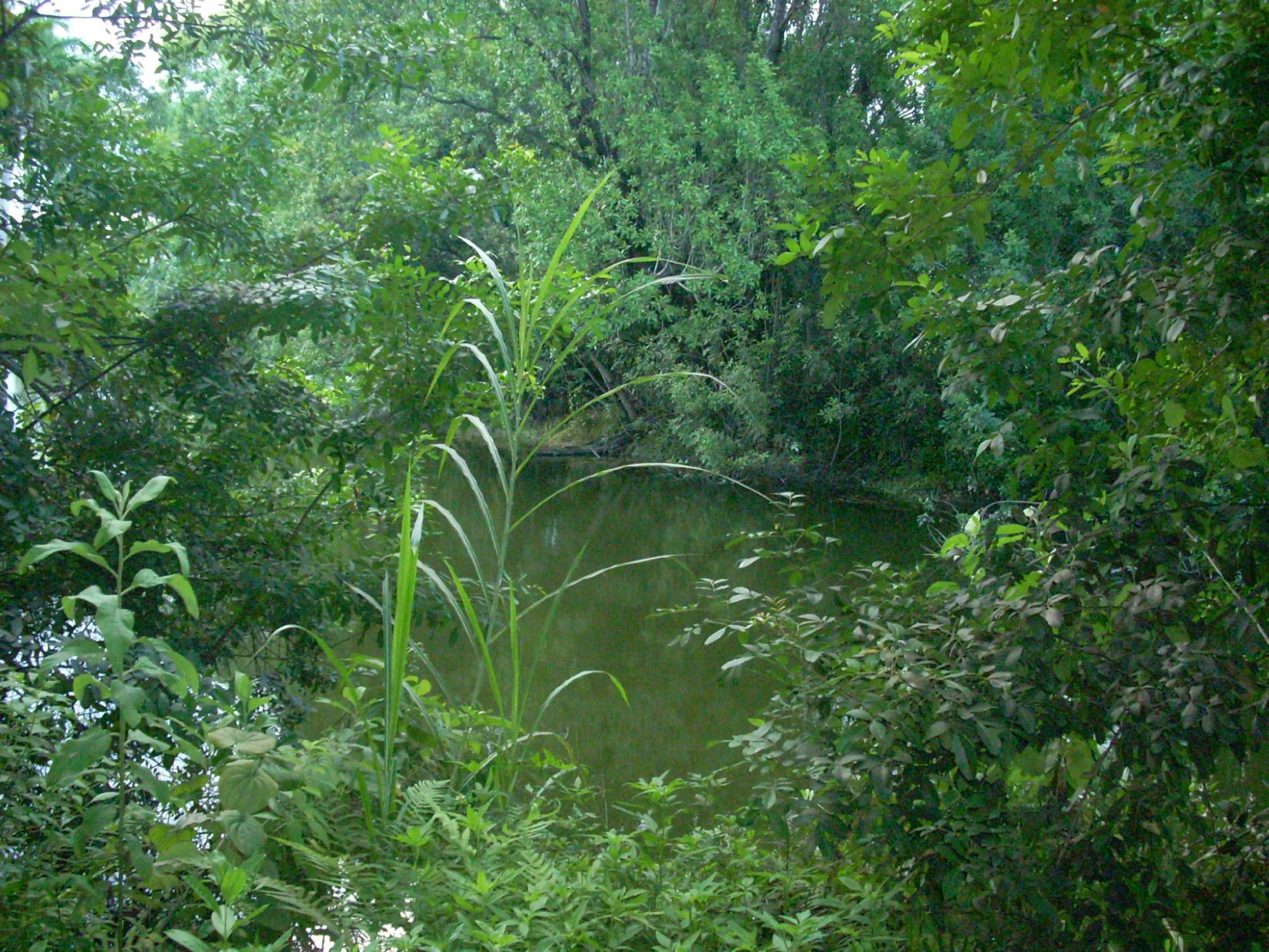 FIU Nature Preserve