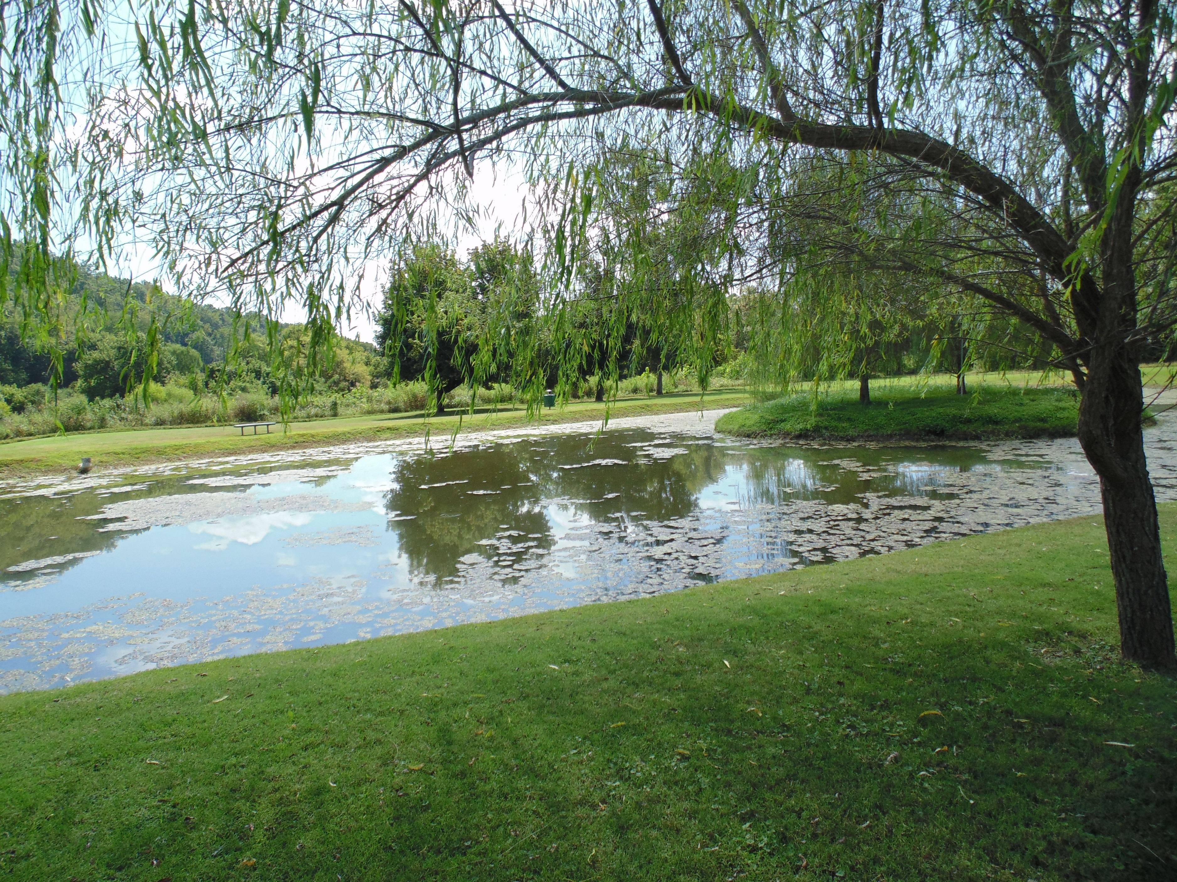 LL Burns Park