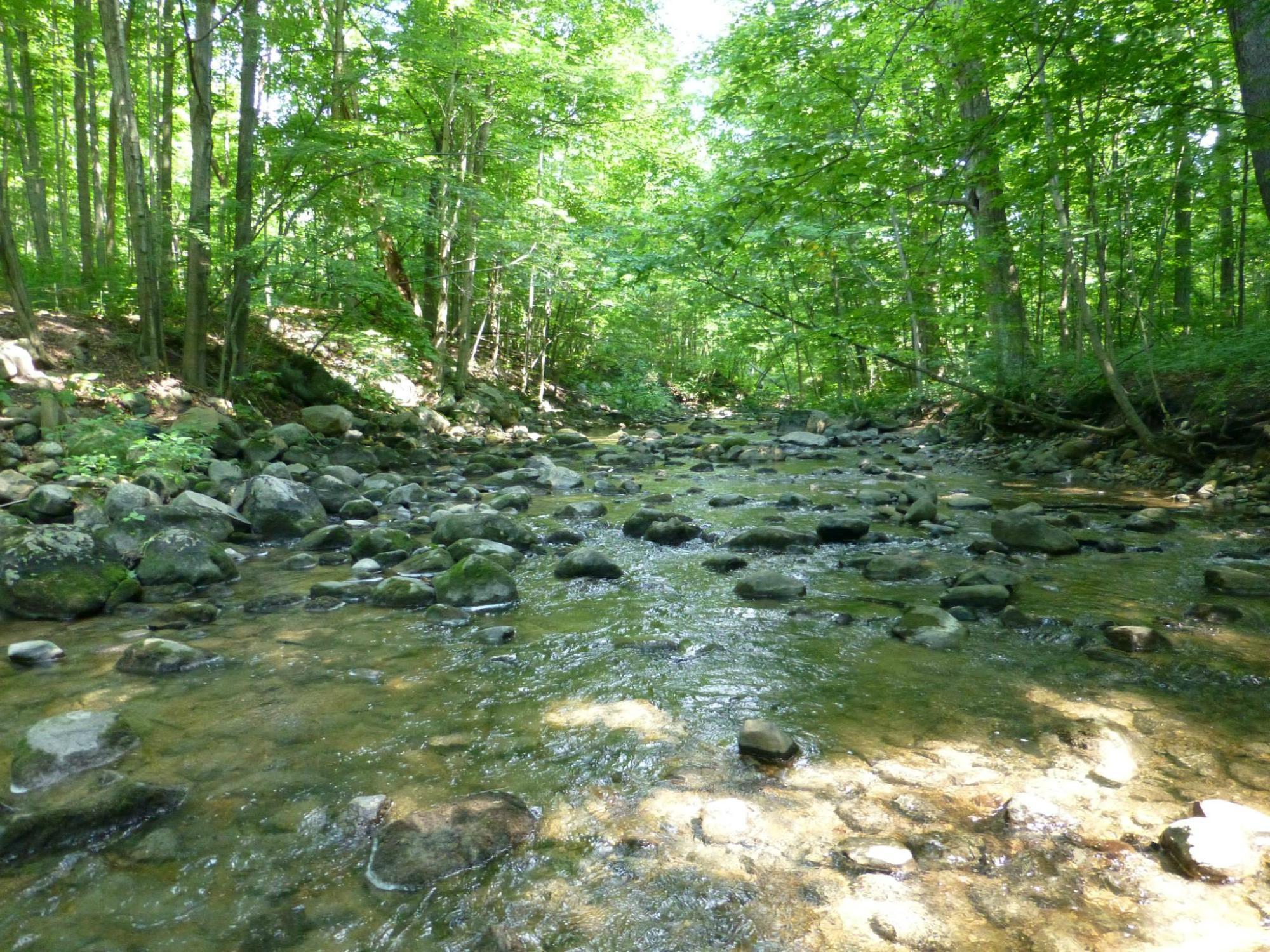 Ionia State Recreation Area