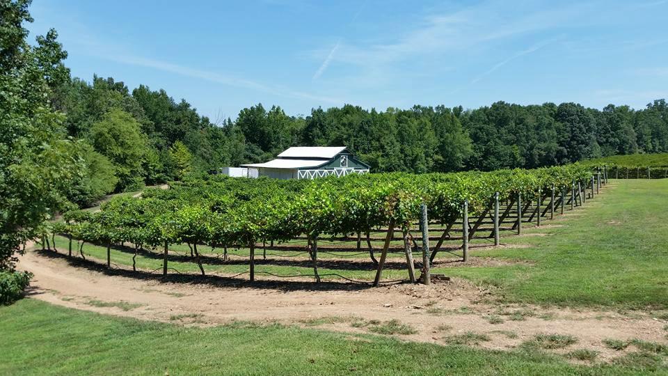 Rocky River Vineyards