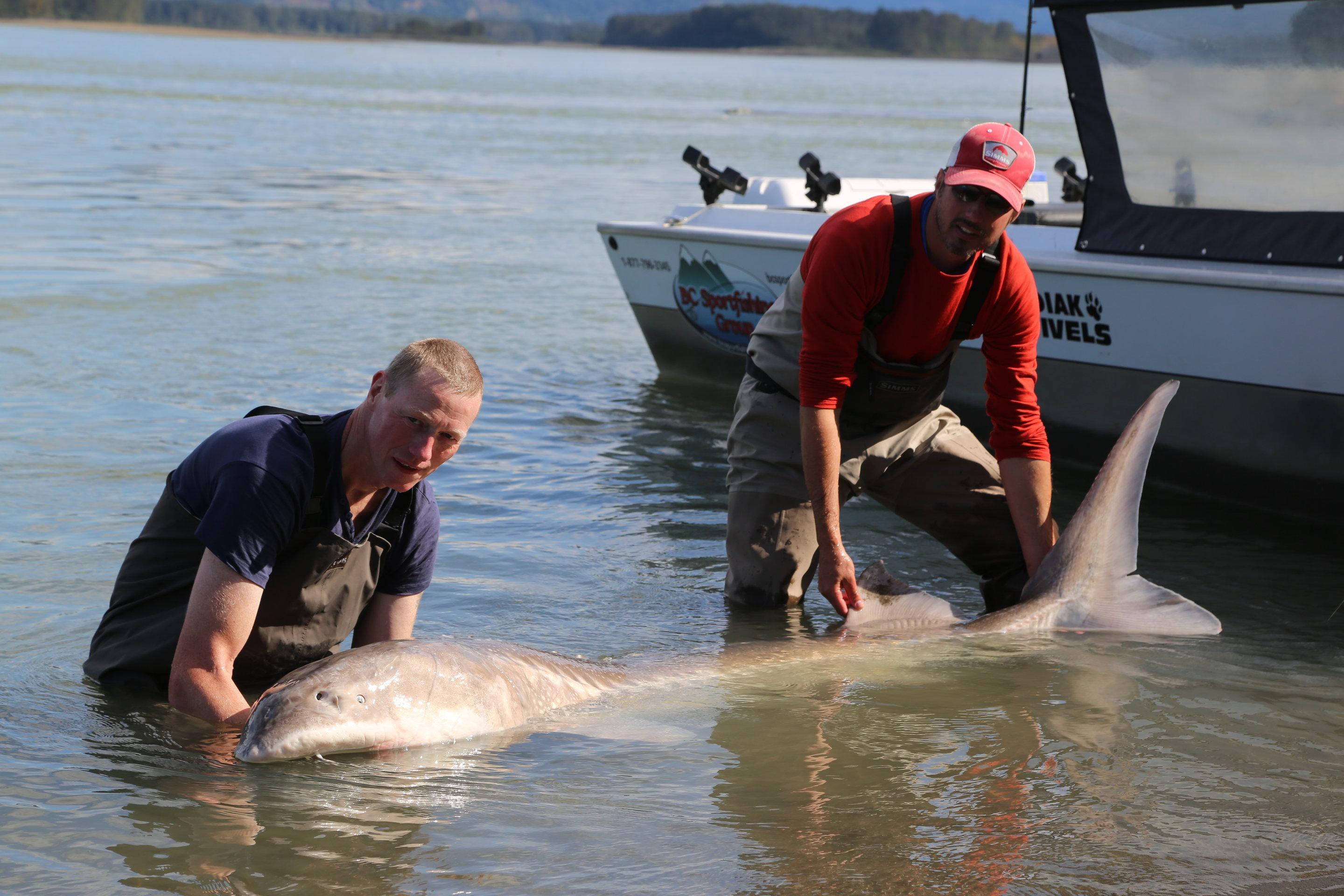 BC Sportfishing Group