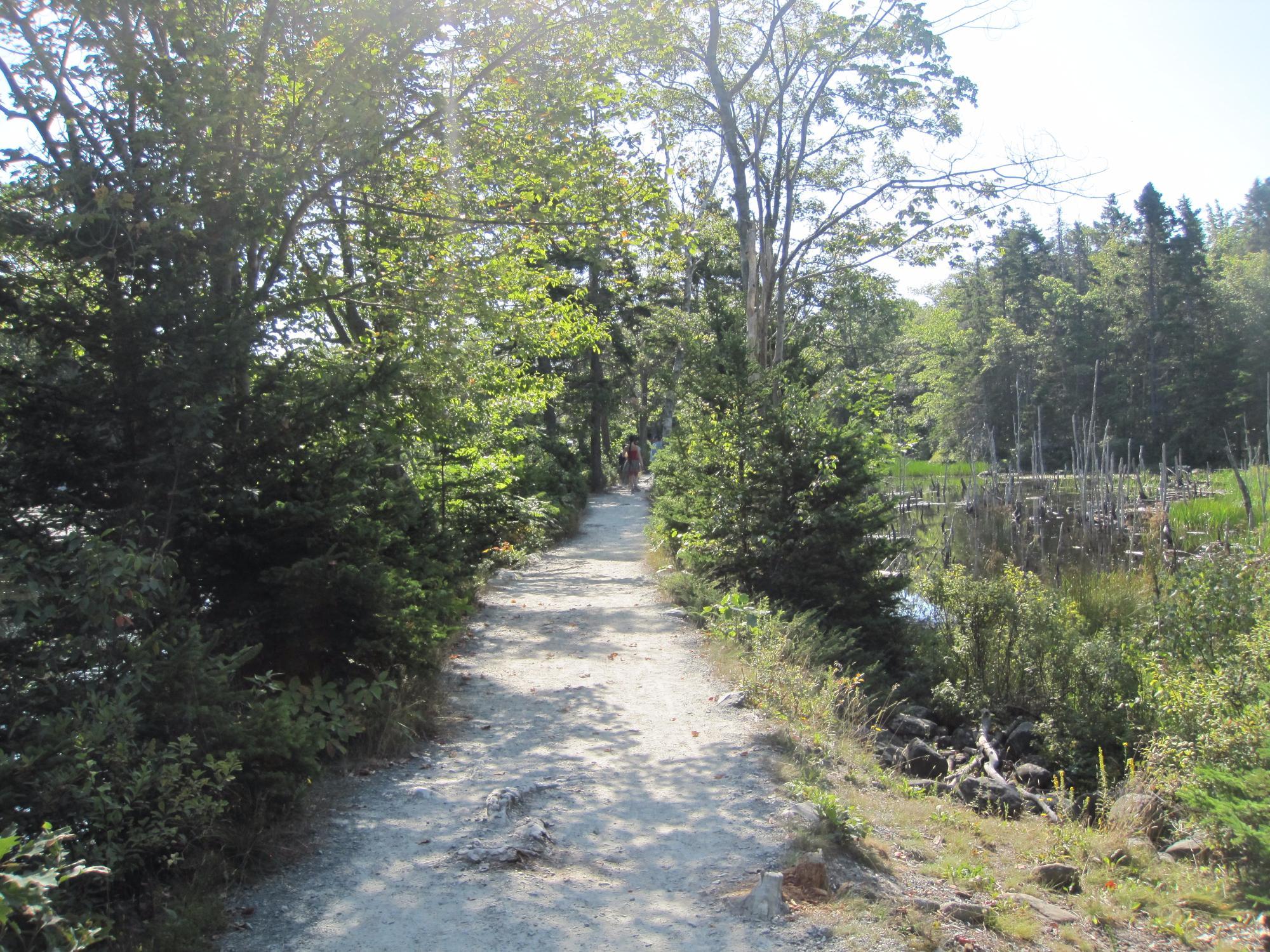 Shubenacadie Canal Commission