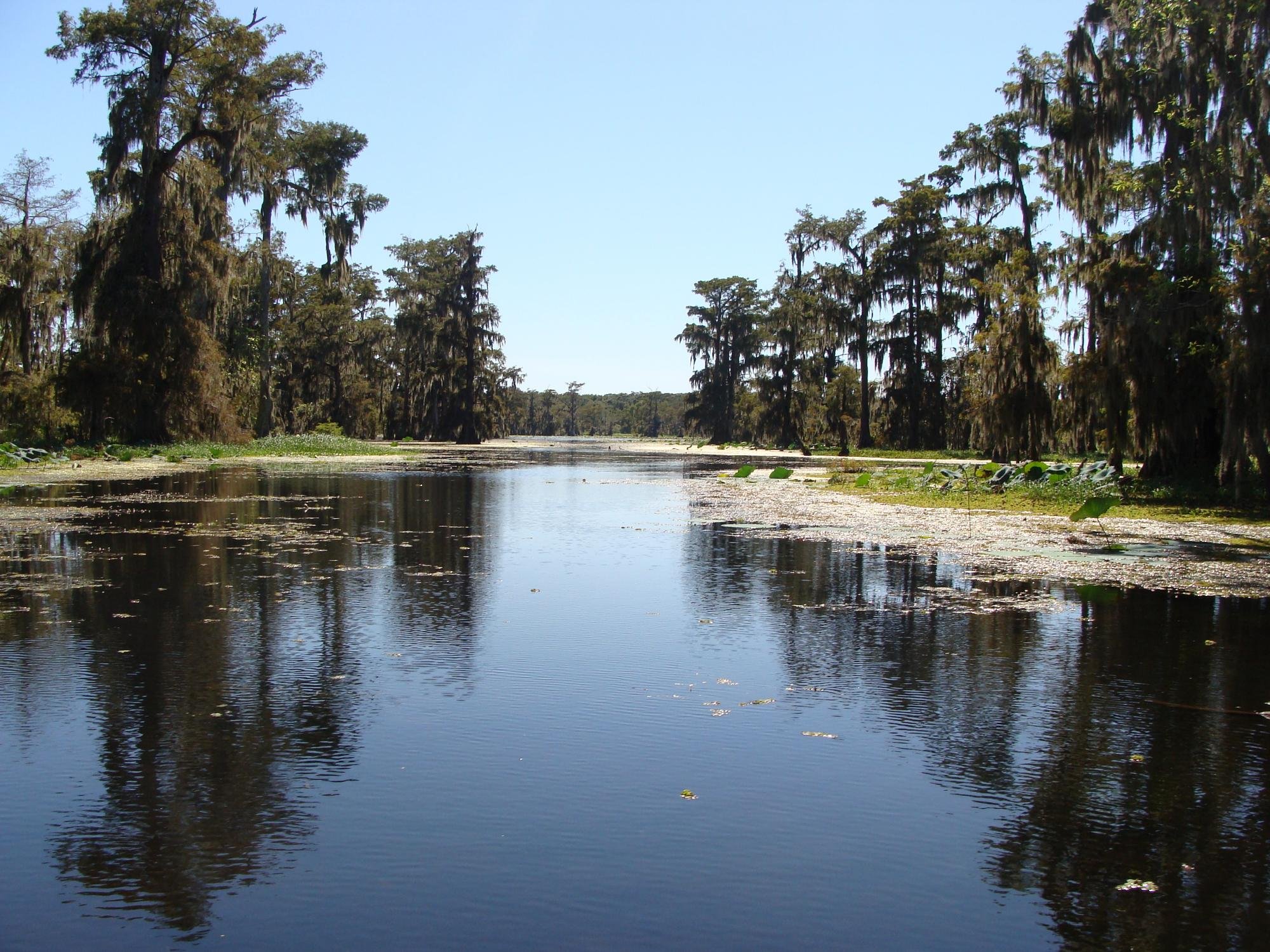 Lake Martin