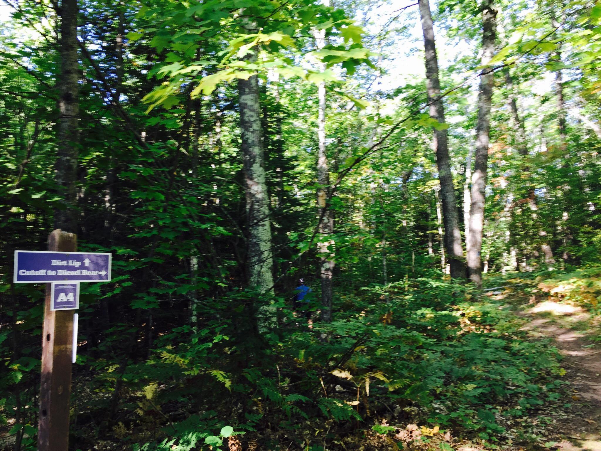 Pike's Creek Mt Ashwabay Ski Trails