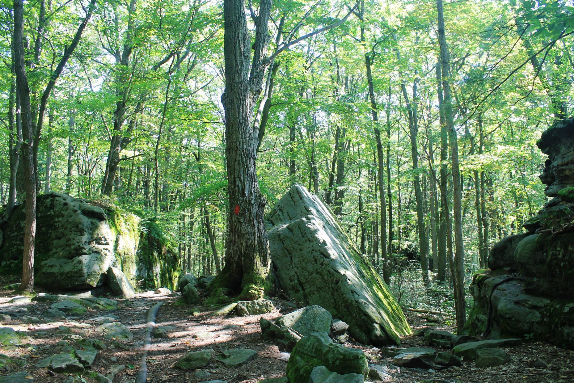 Clear Creek State Park