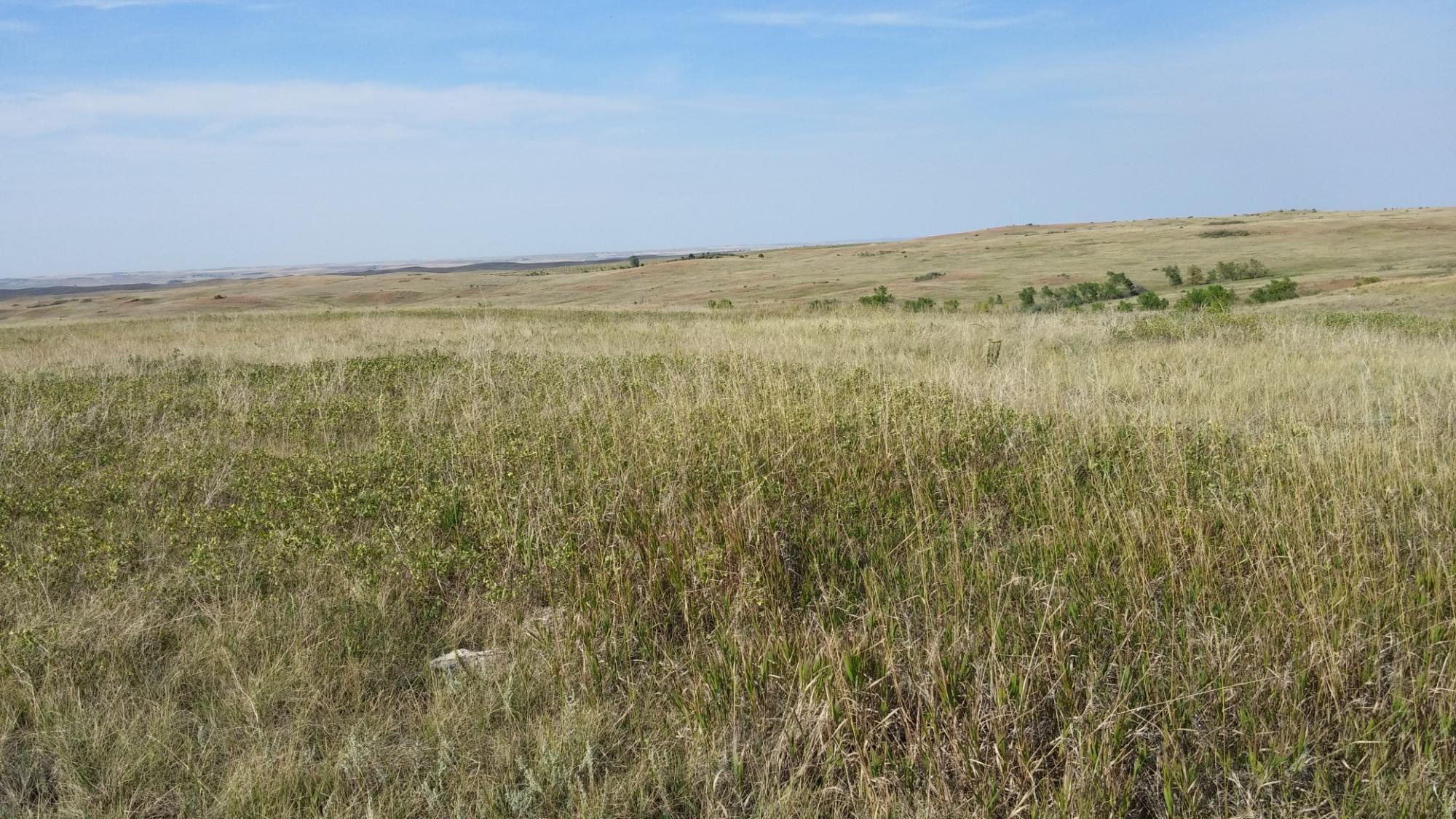 Little Missouri National Grassland