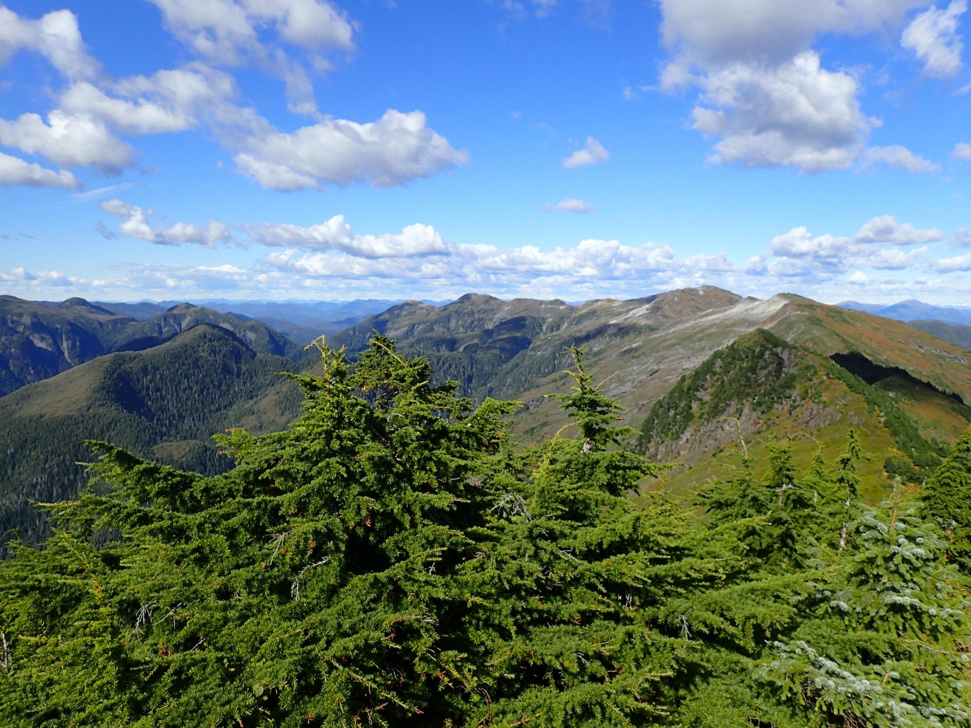 Deer Mountain Trail