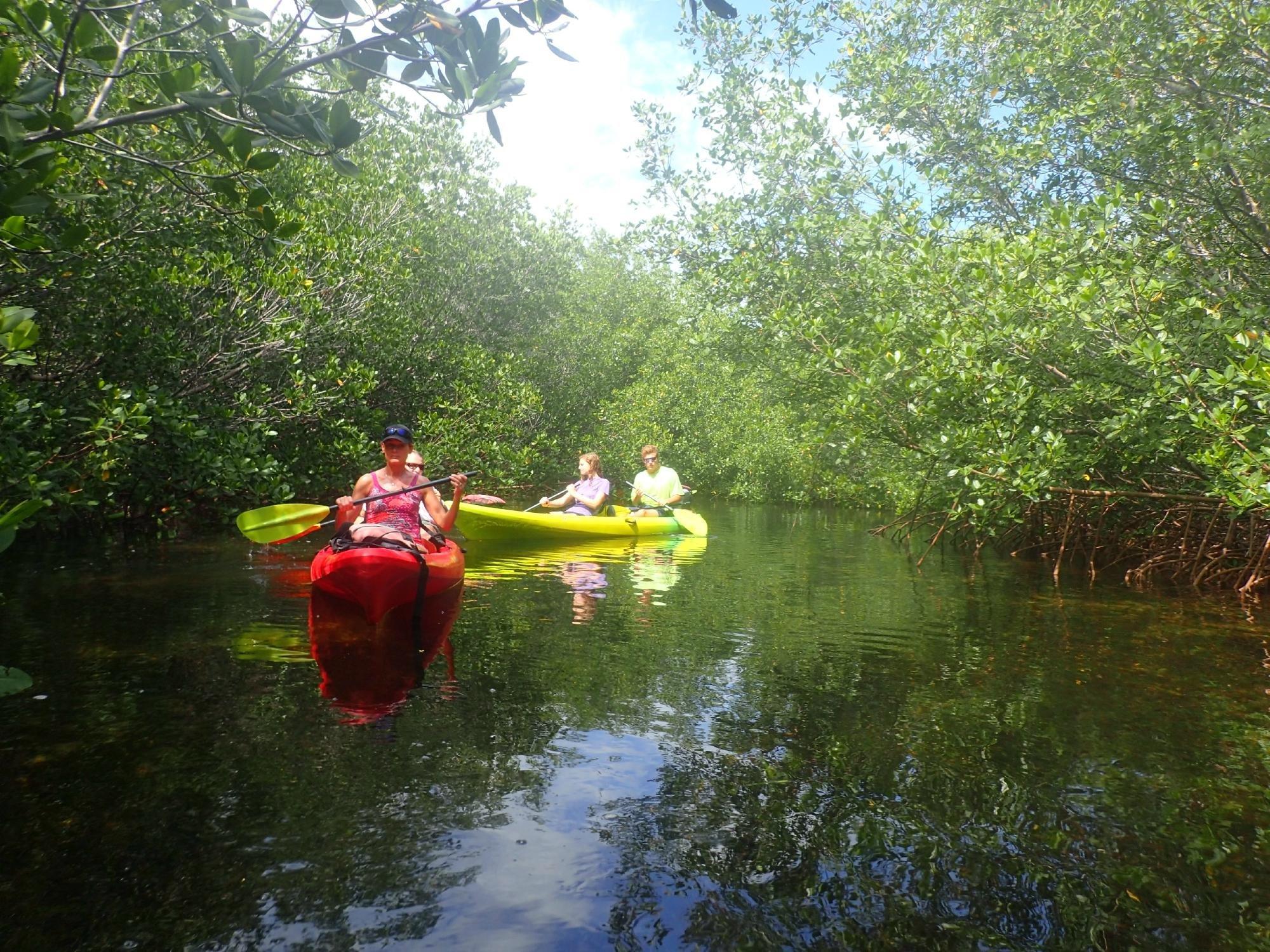 AquaVentures Eco Tours