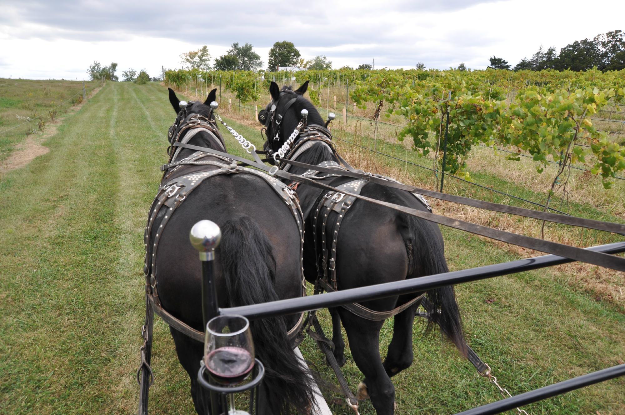 Wine Country Wagon Rides