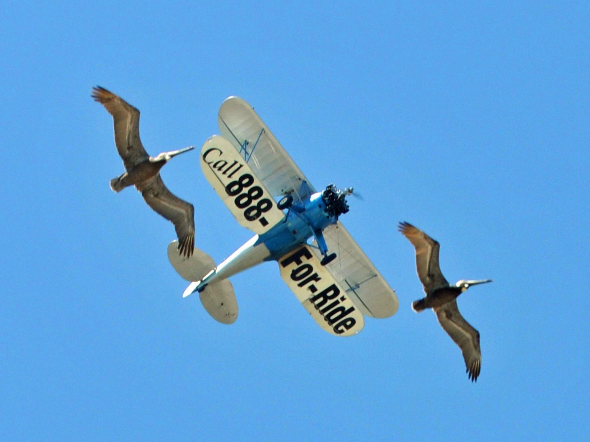 Florida Air Tours