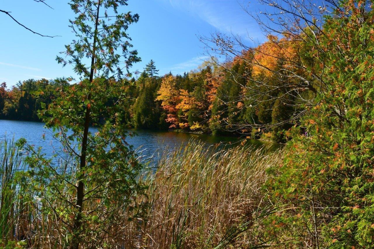 Crawford Lake Conservation Area