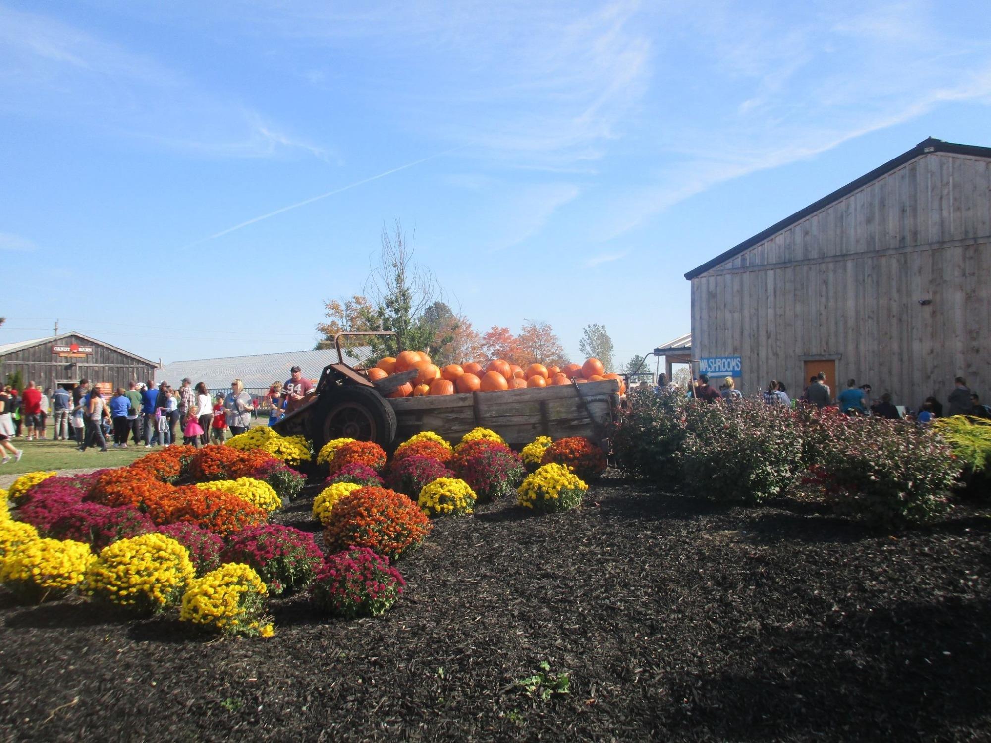 Snyders Family Farm