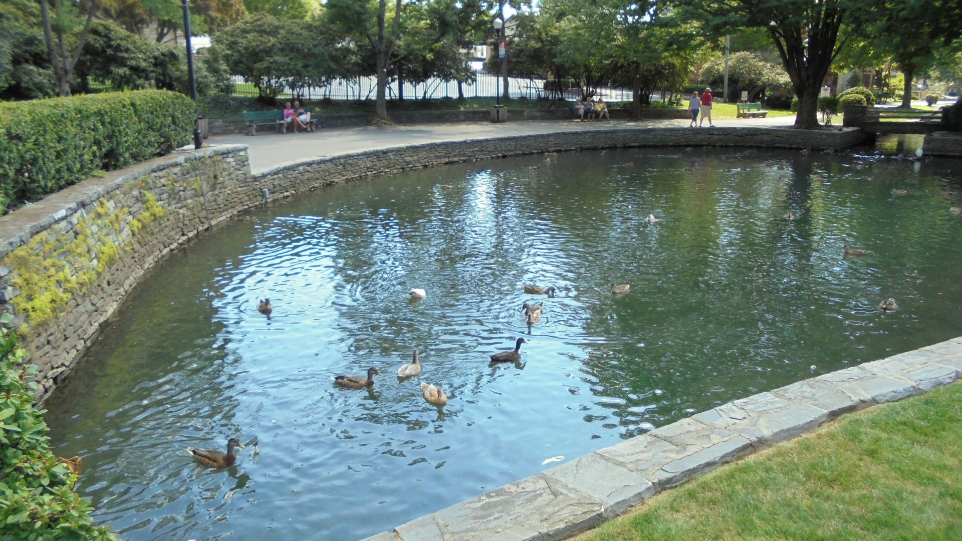 Lititz Springs Park