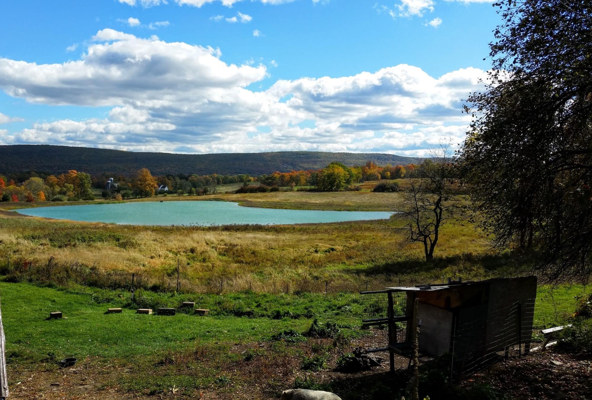 Applewood Winery