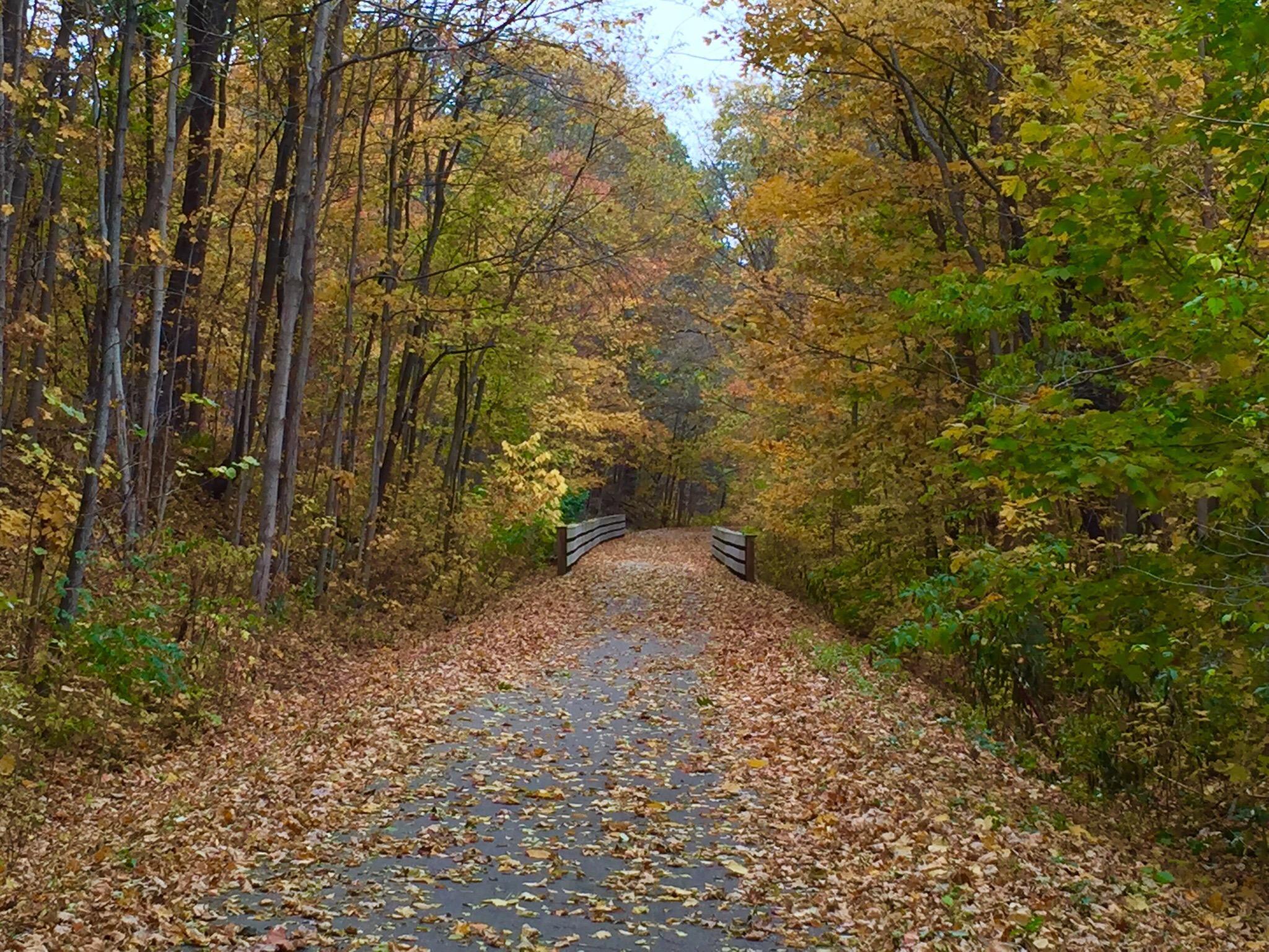 Nickel Plate Trail