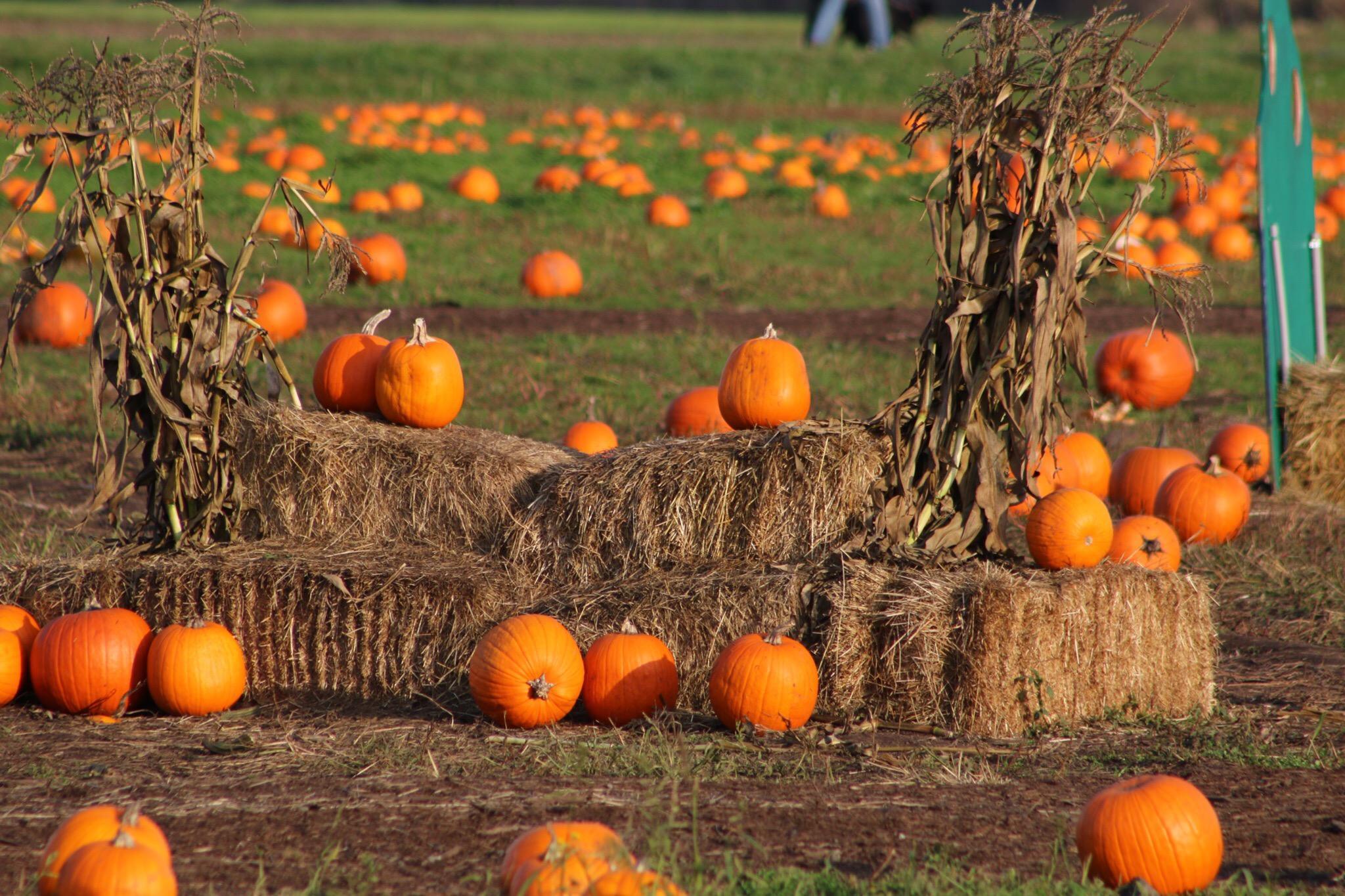 Michell Bros. Farm