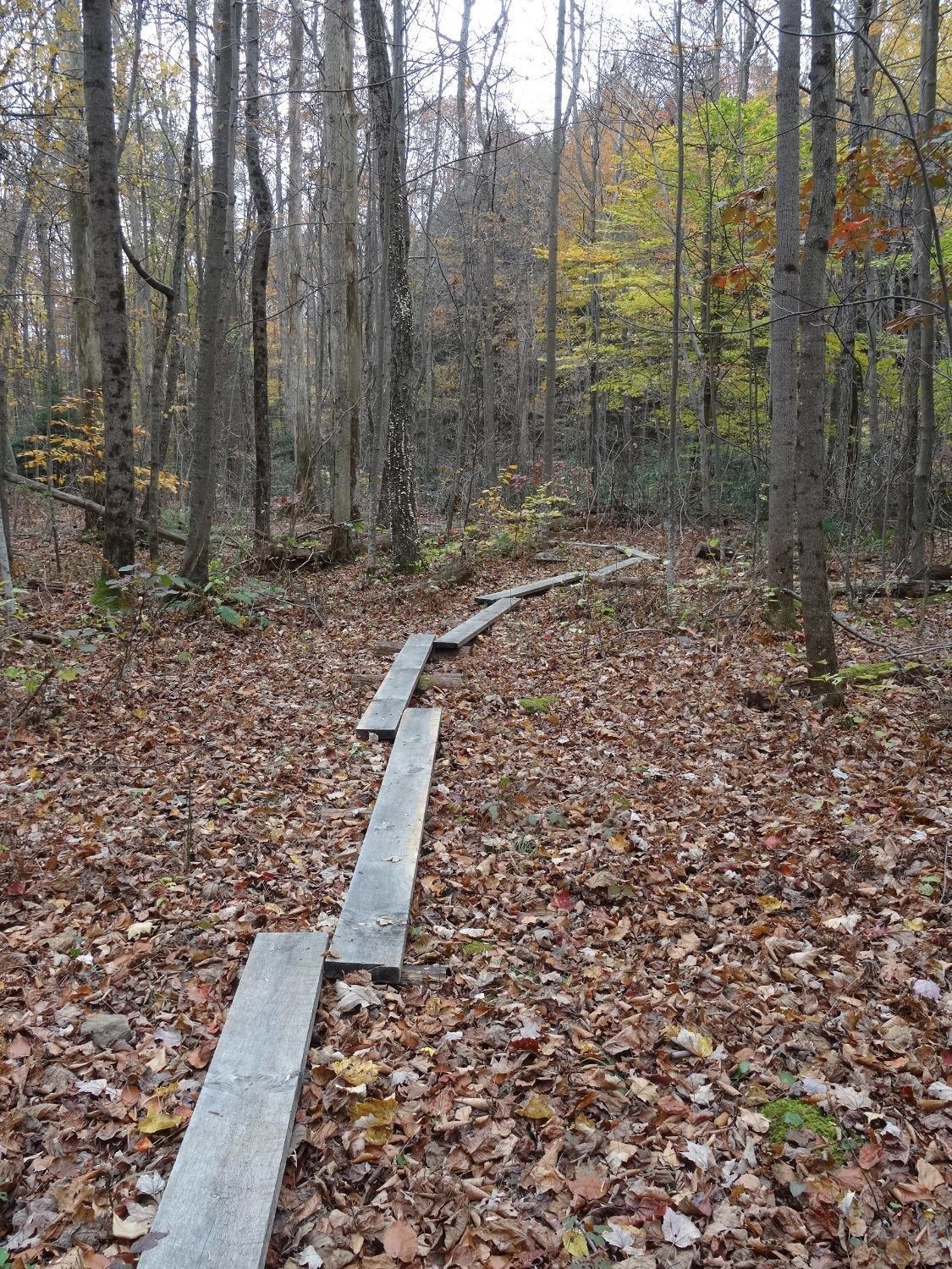 Bear Run Nature Reserve