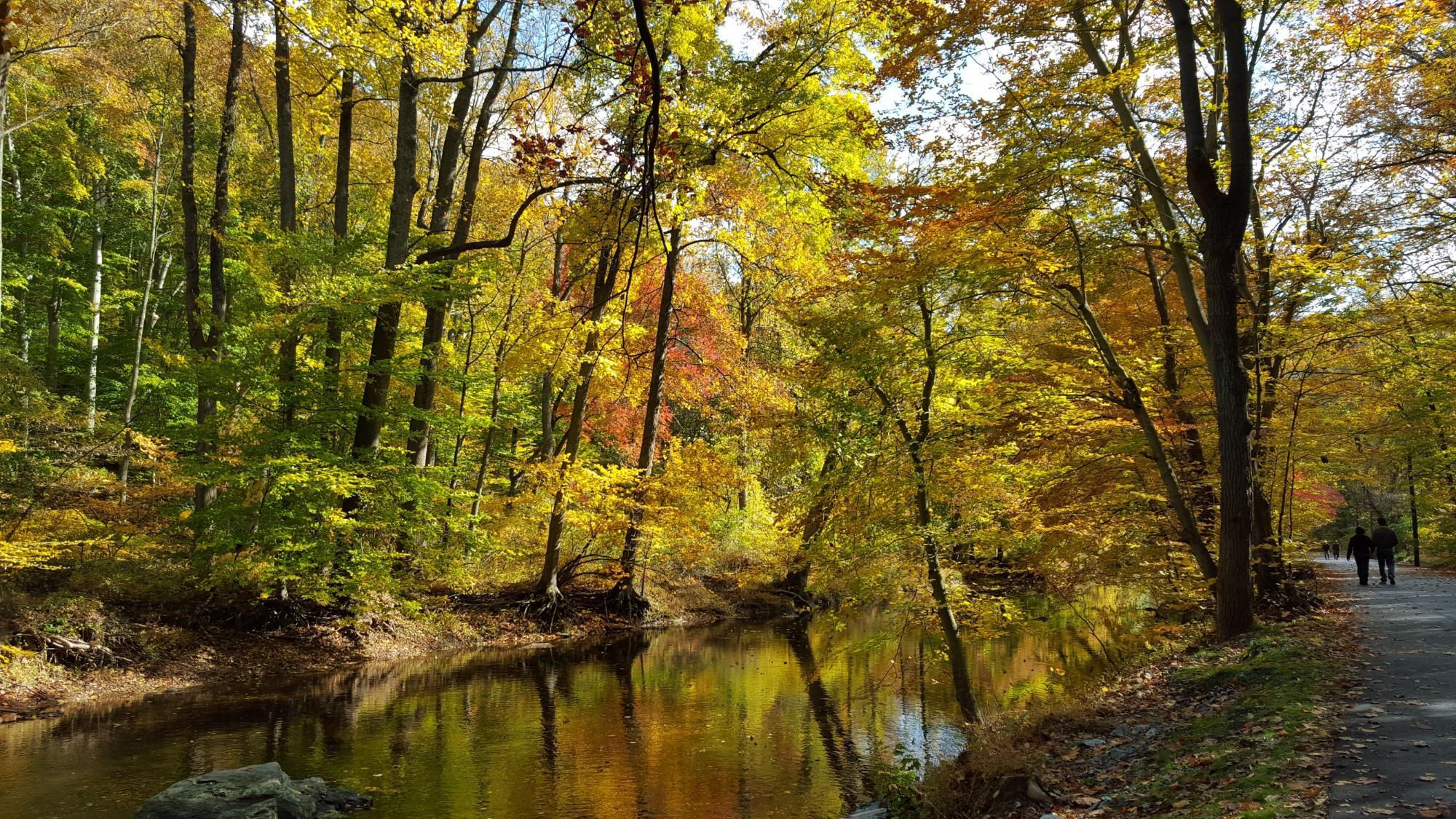 Ridley Creek State Park