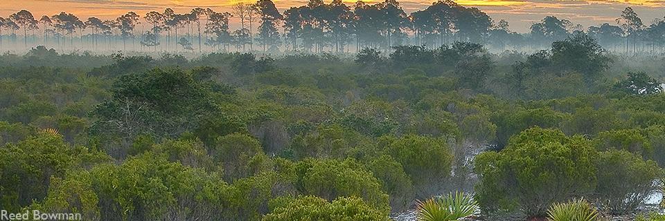 Archbold Biological Station