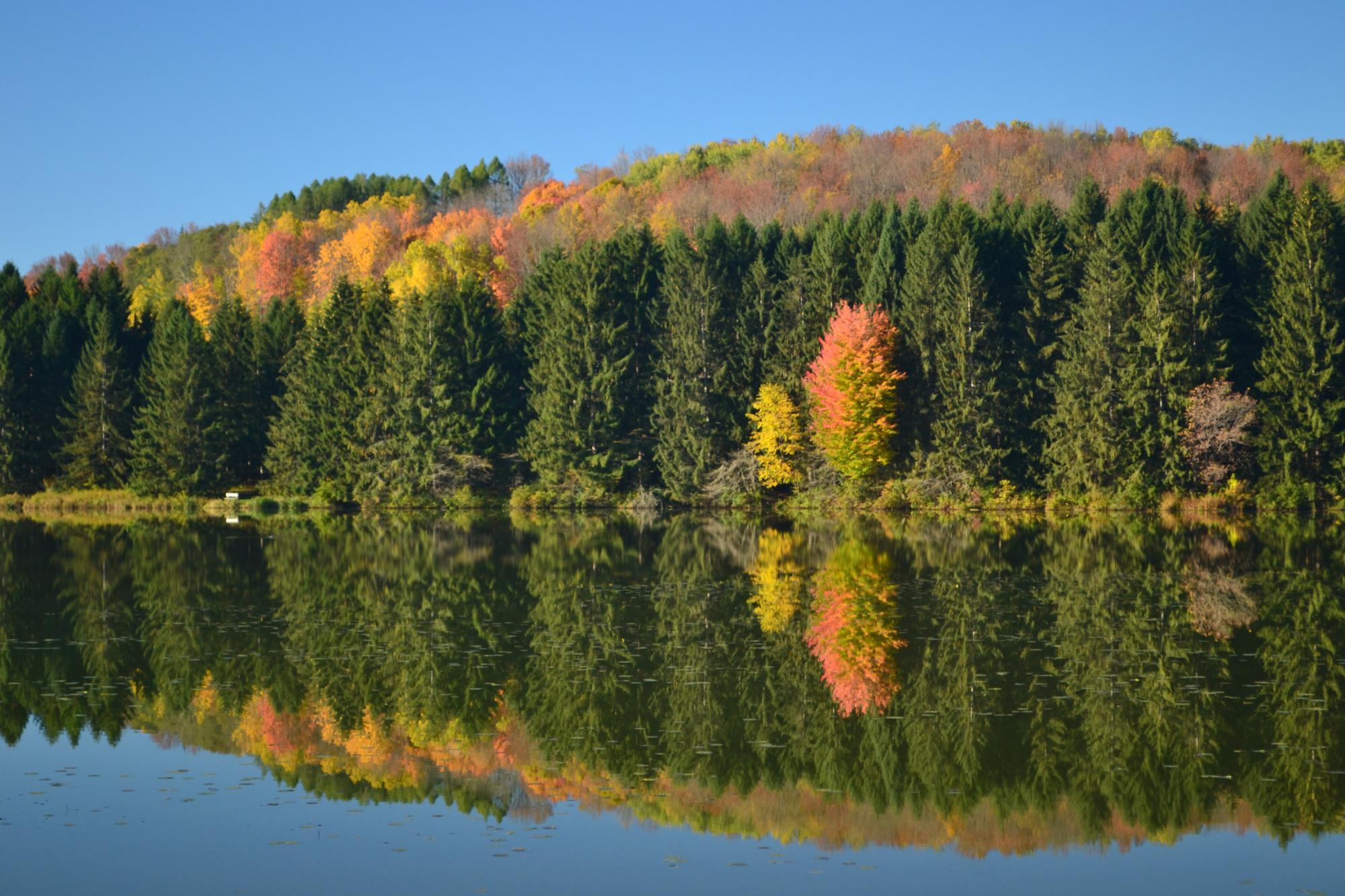 Hills Creek State Park