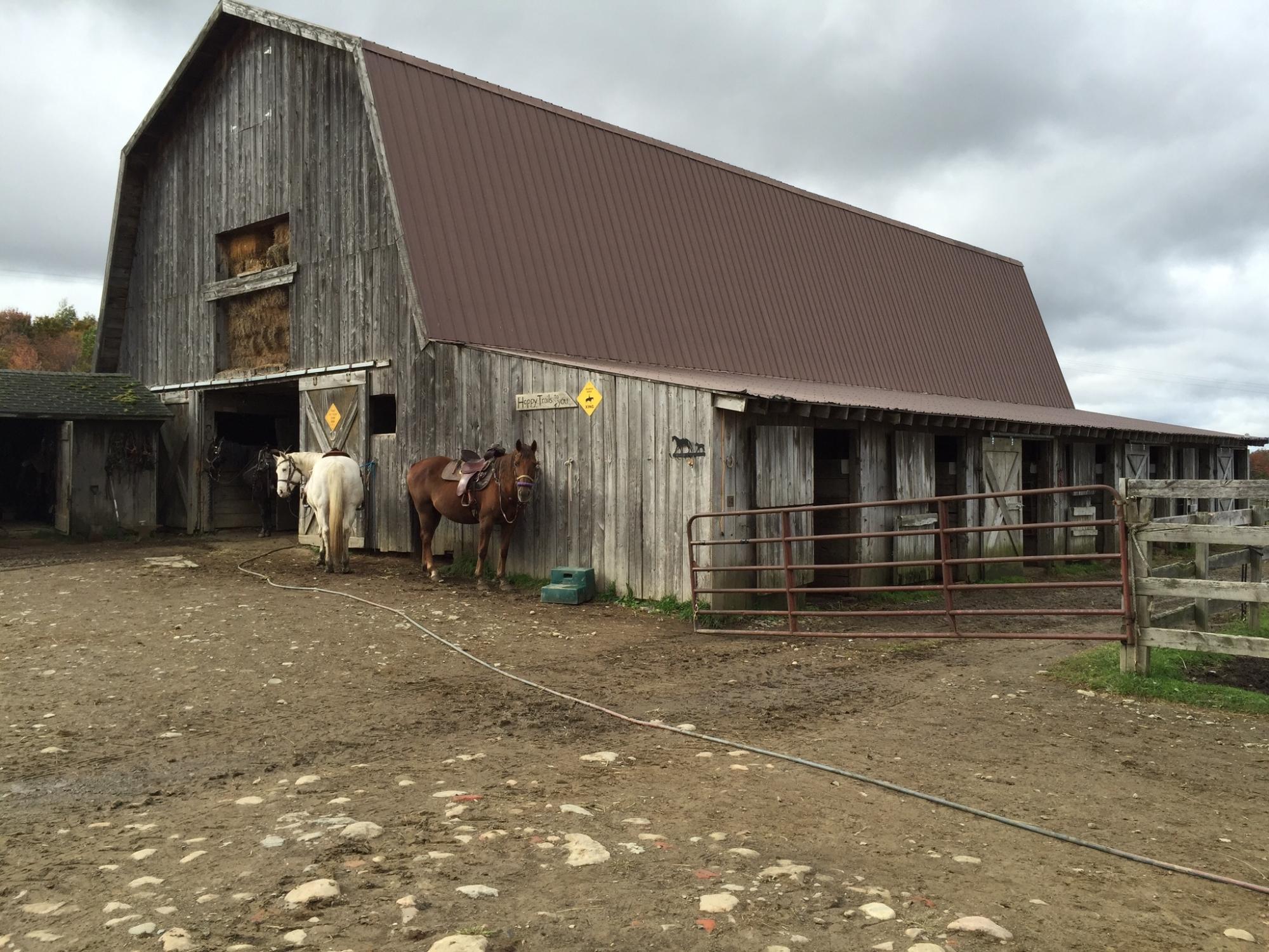 Double Dab Riding Stable