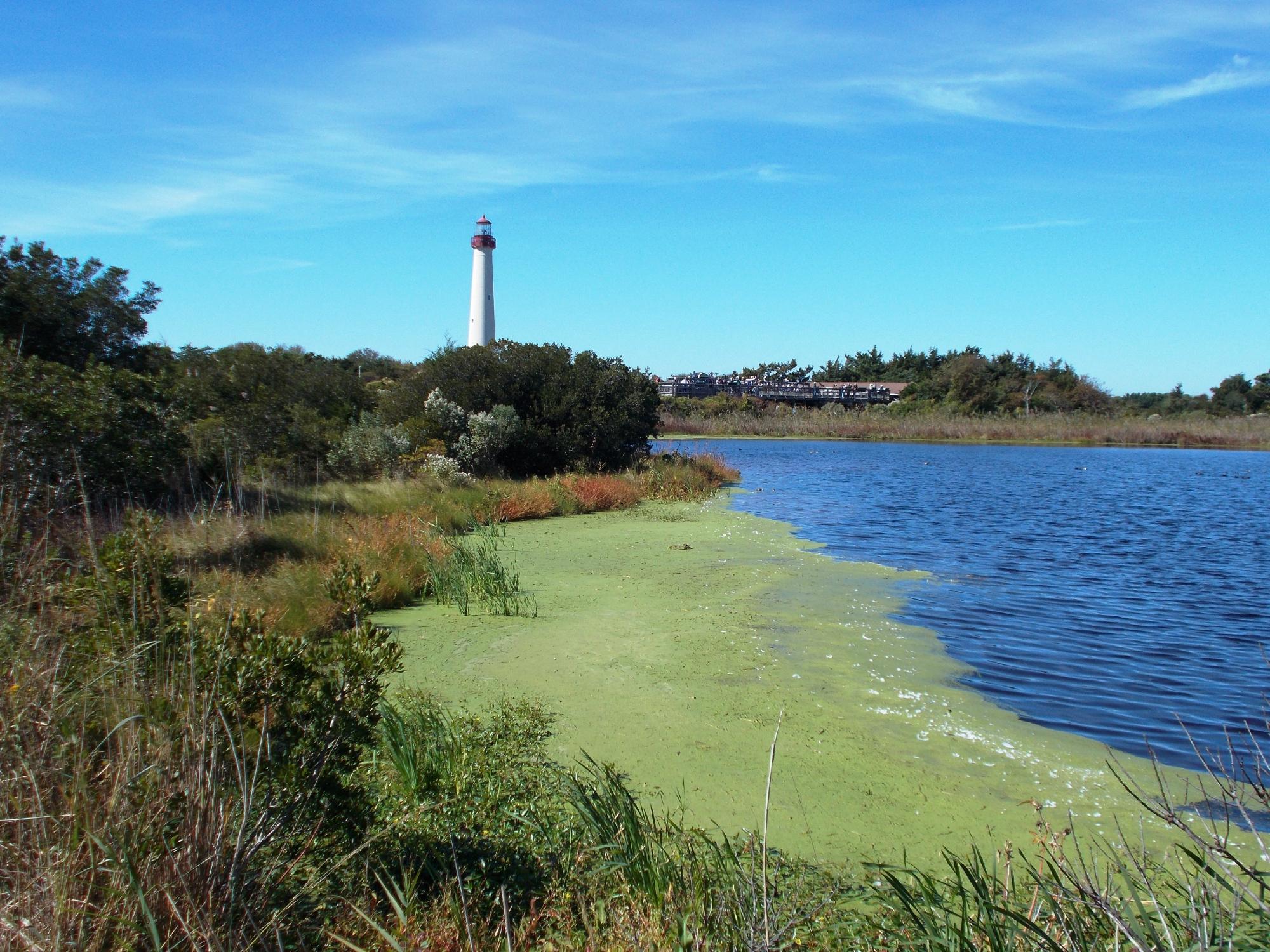 Cape May Point State Park