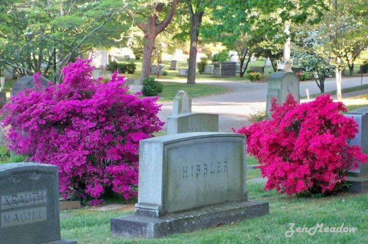 Forest Hills Cemetery