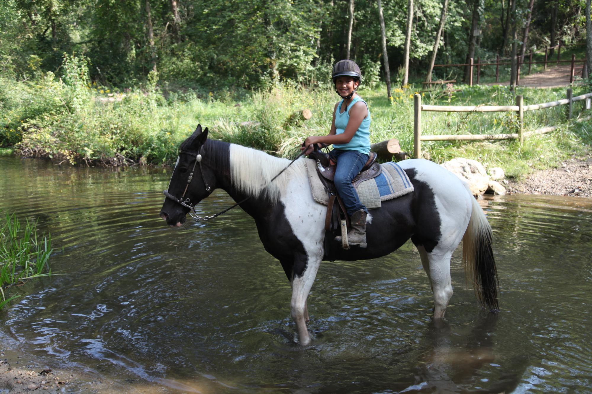 Horse' N Around Stables