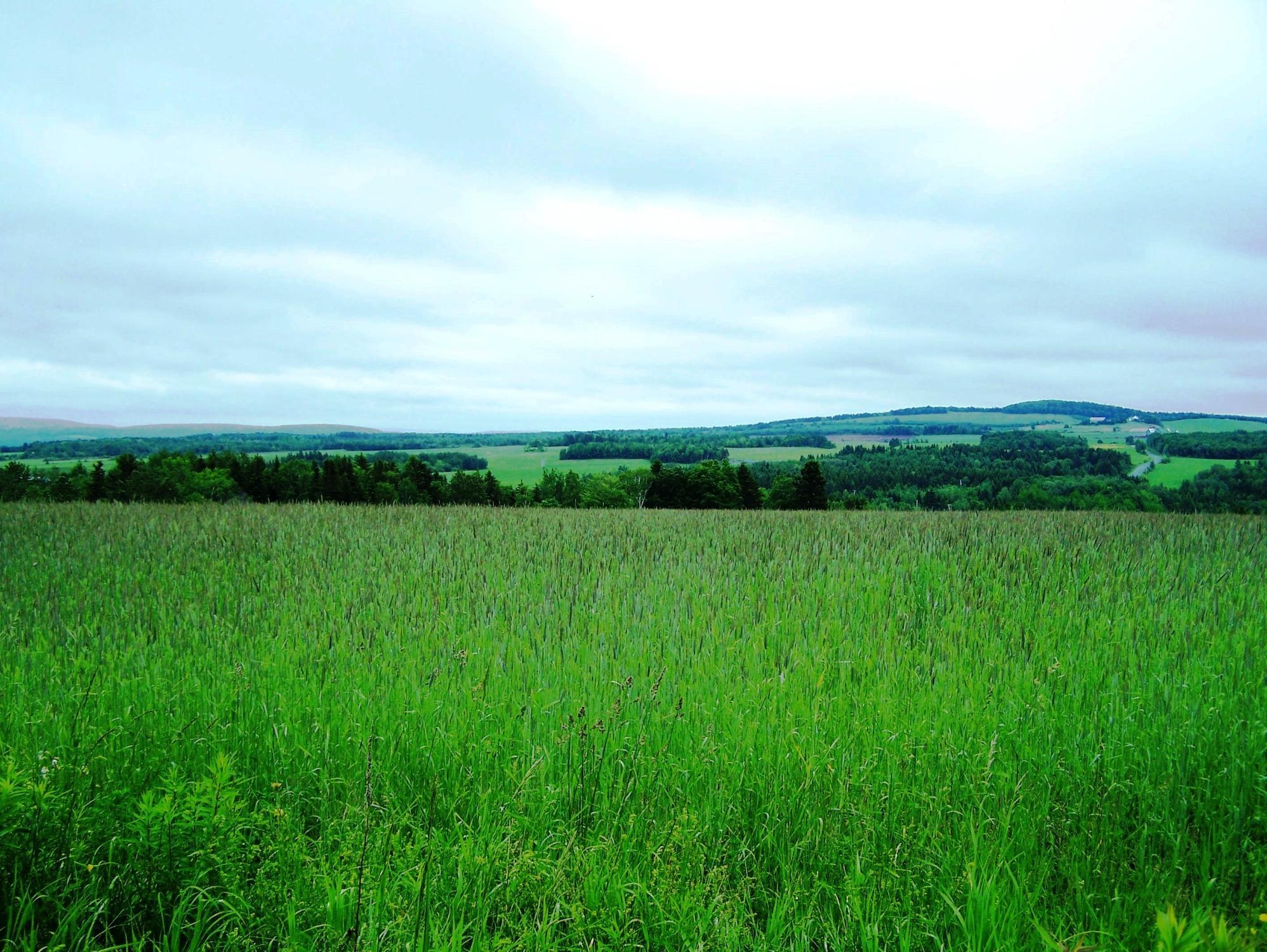 Tronçon Sénescoupé du Sentier National