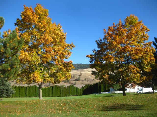 Beasley Park