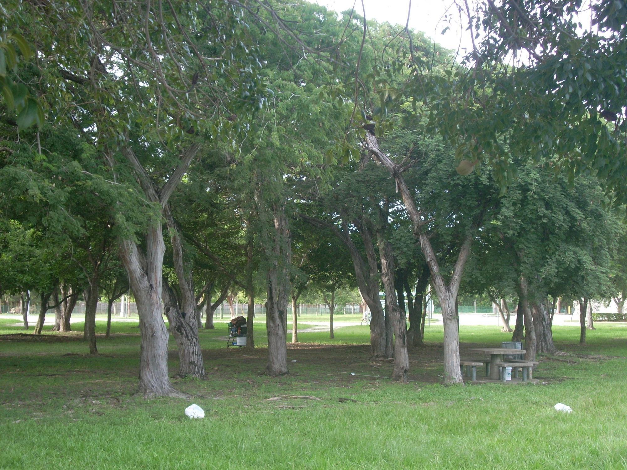 Modello Park