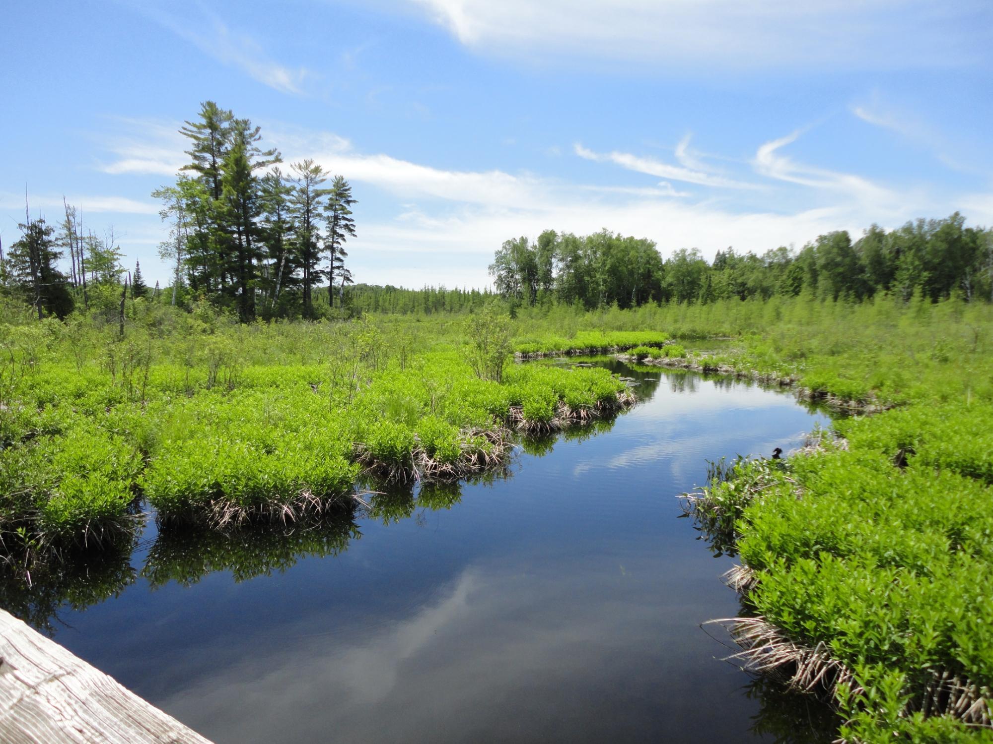 Bearskin State Trail