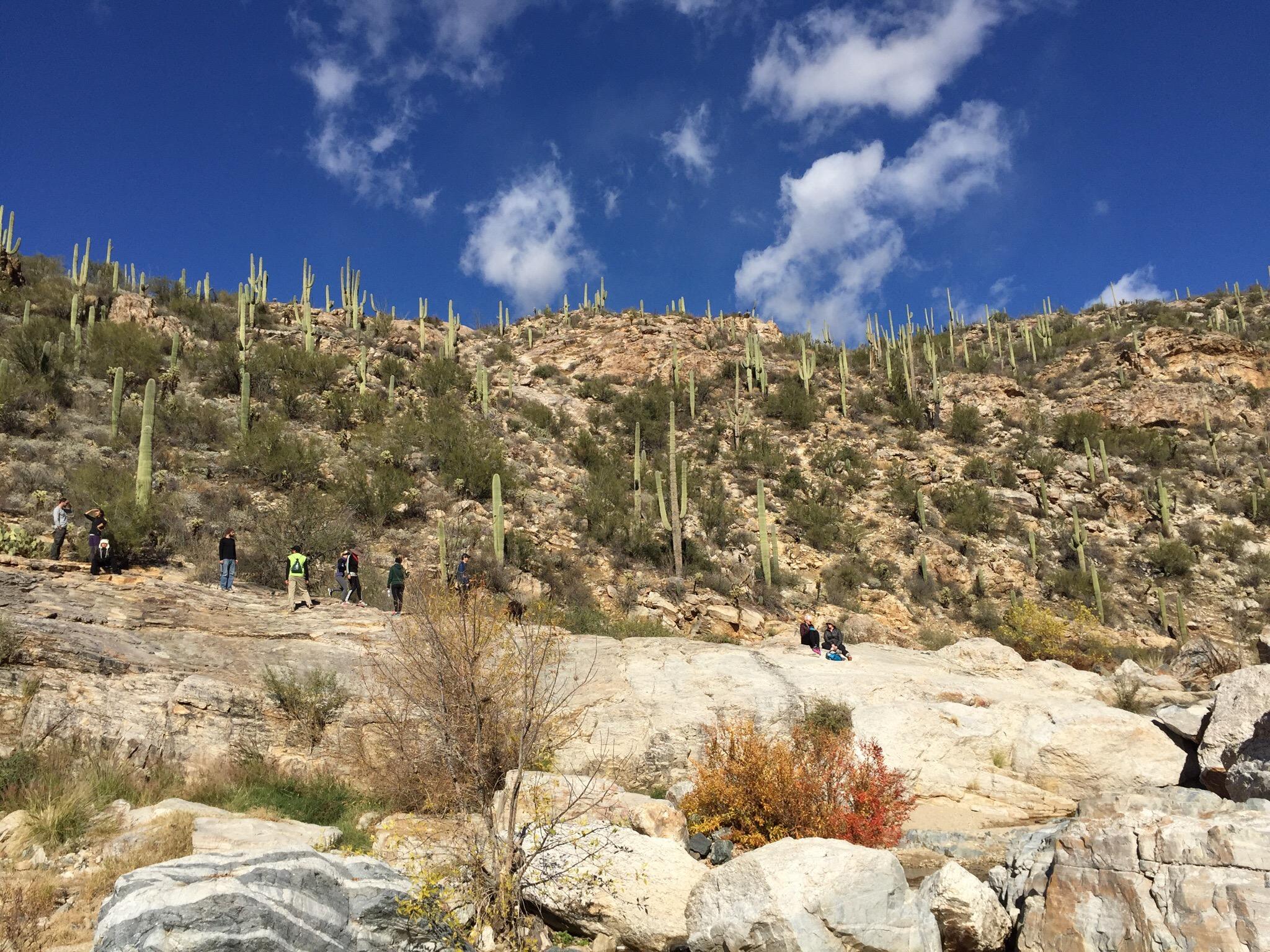 Tanque Verde Falls