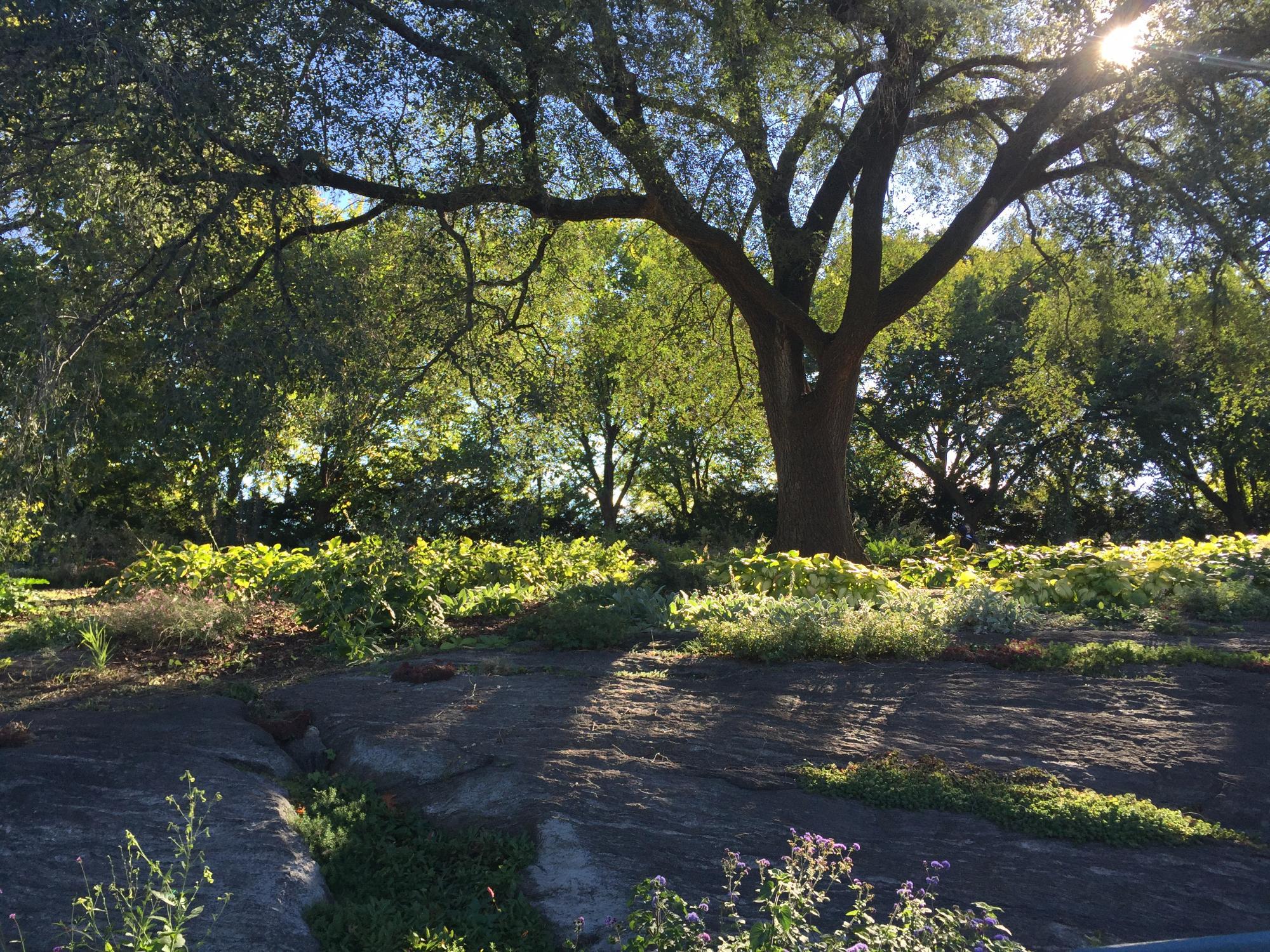 Inwood Hill Park