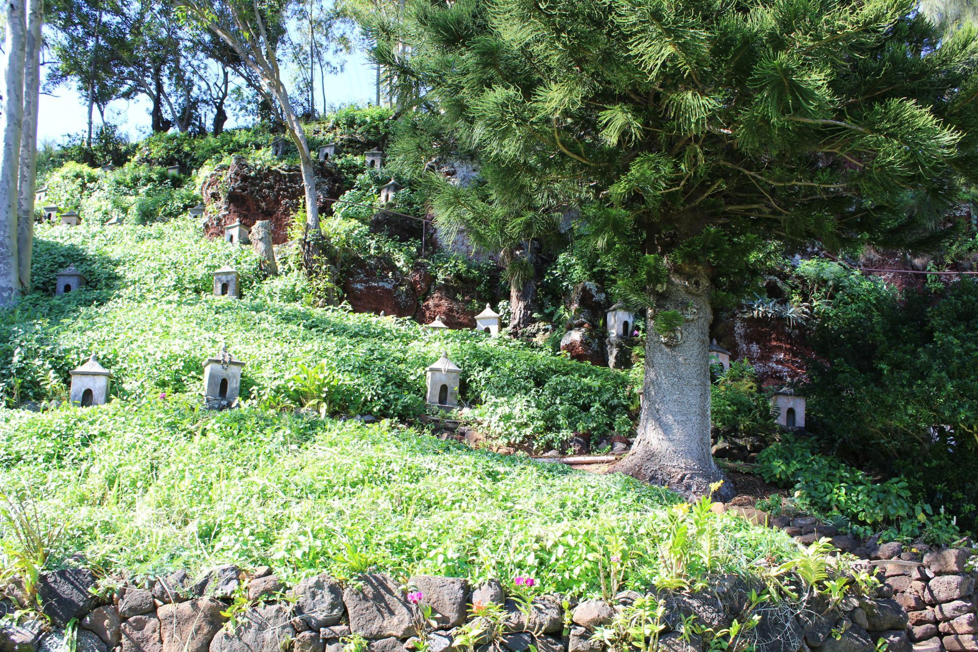 Lawai International Center