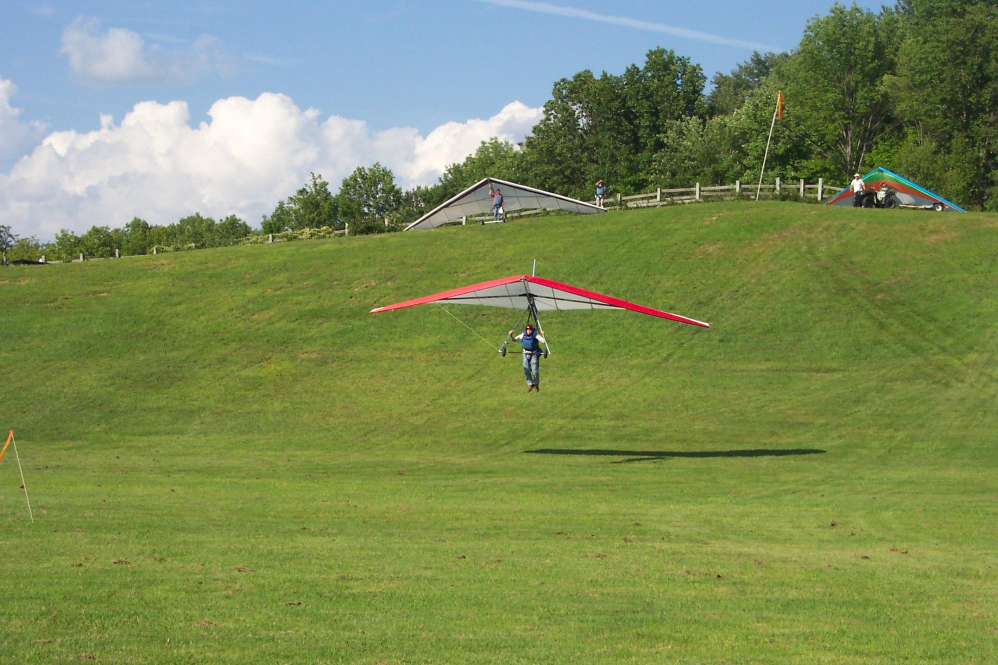 Mountain Wings