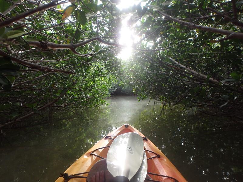 Florida Keys Kayak and Paddleboard