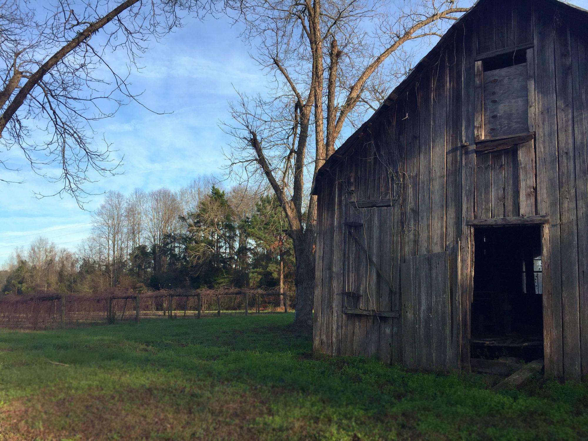 Watermelon Creek Vineyard