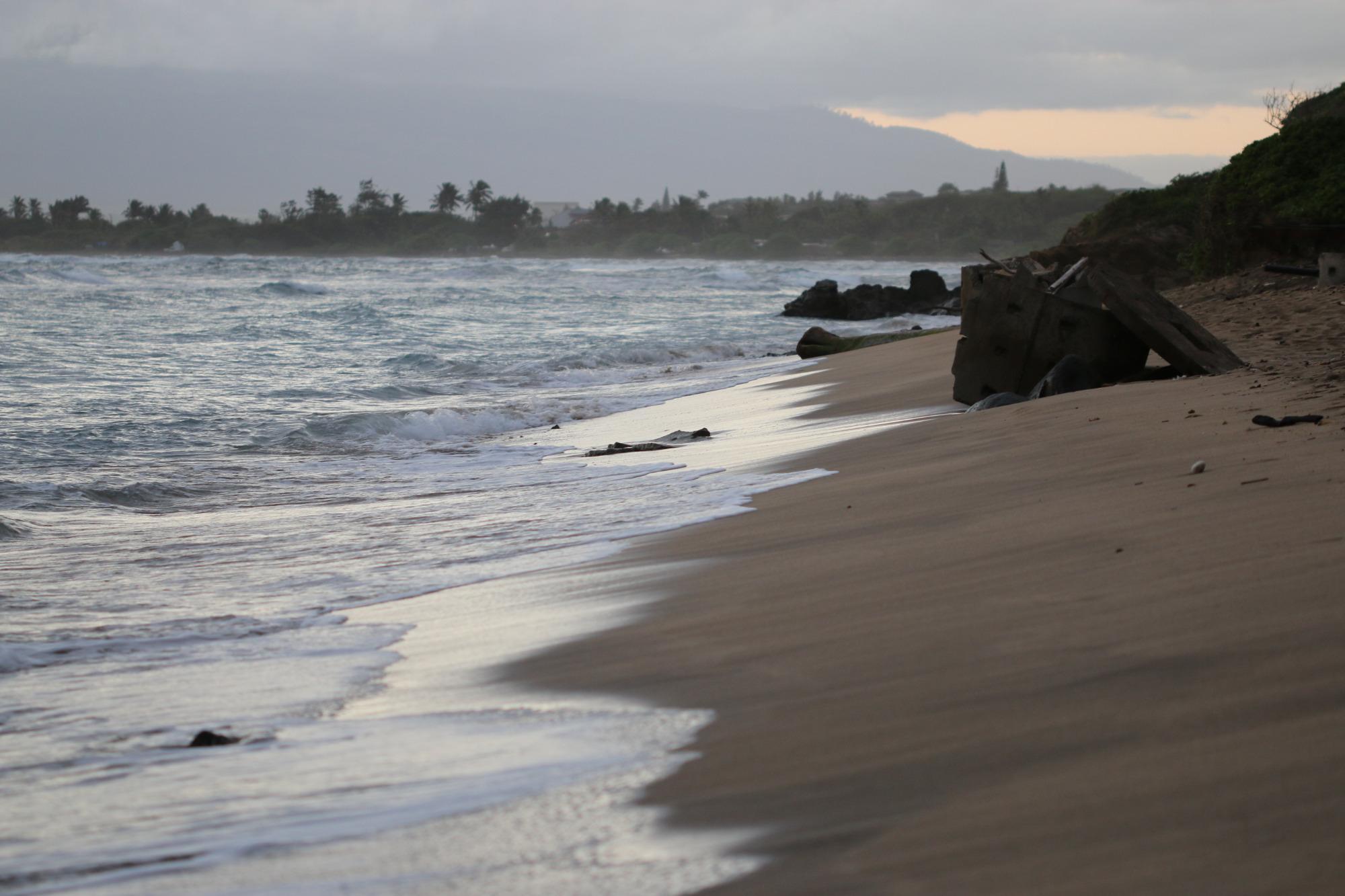 Waiehu Beach Park