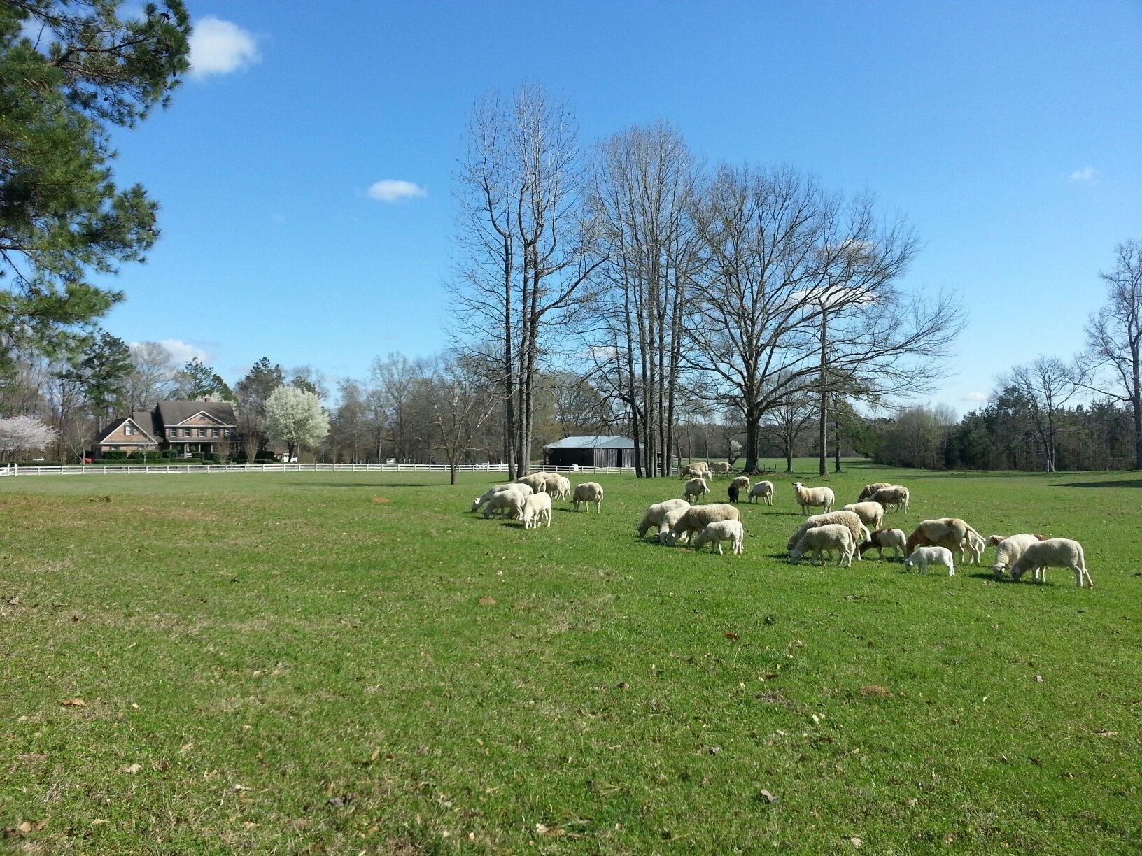 Willow Bend B & B