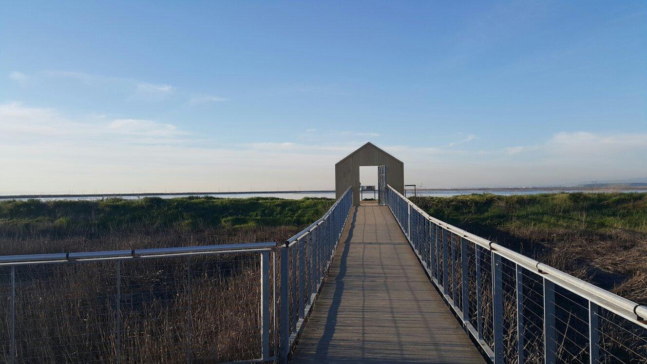 Alviso Marina County Park