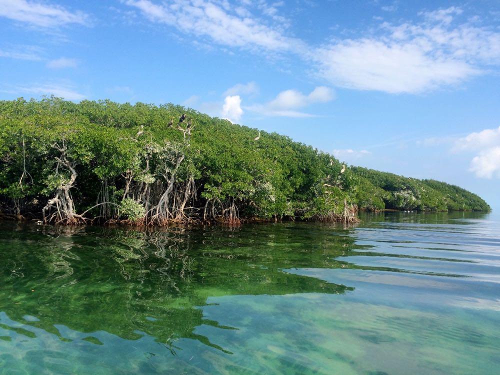 Keys Boat Tours