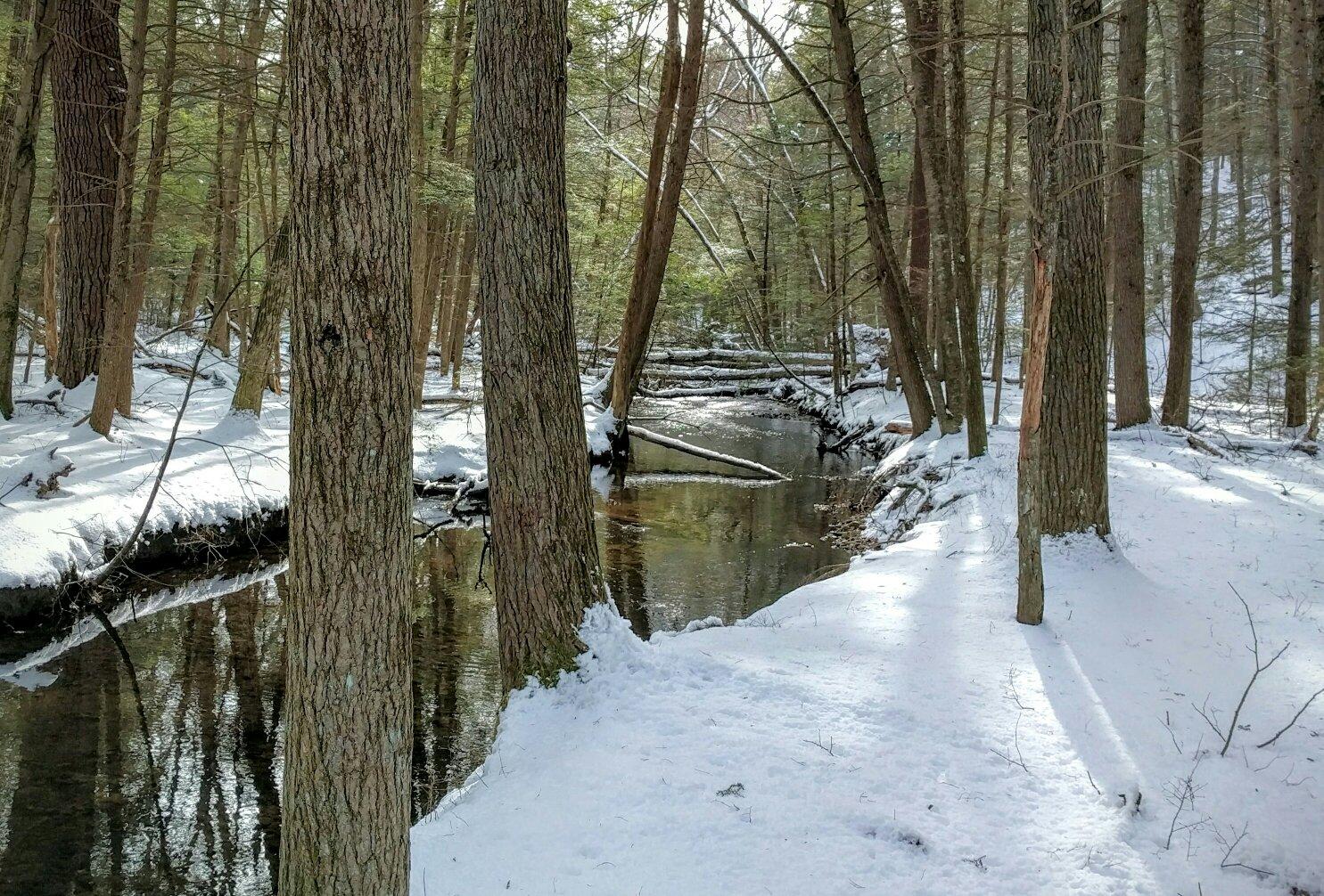 McLean Game Refuge