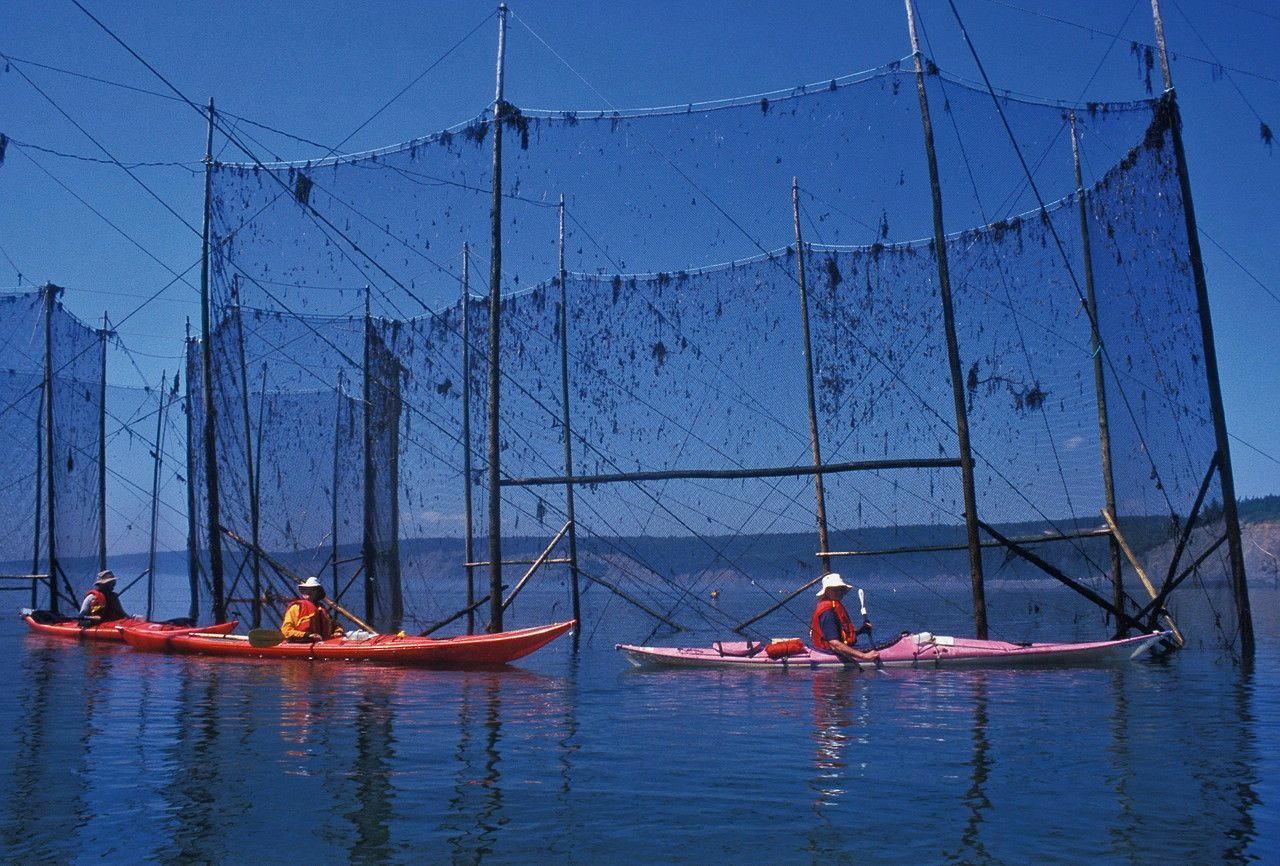 Coastal Adventures